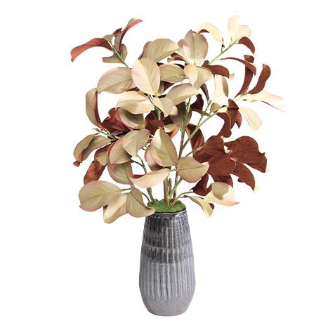 Natural Magnolia Arrangement image 443817   NAT
