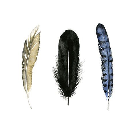 Soft Feathers I image