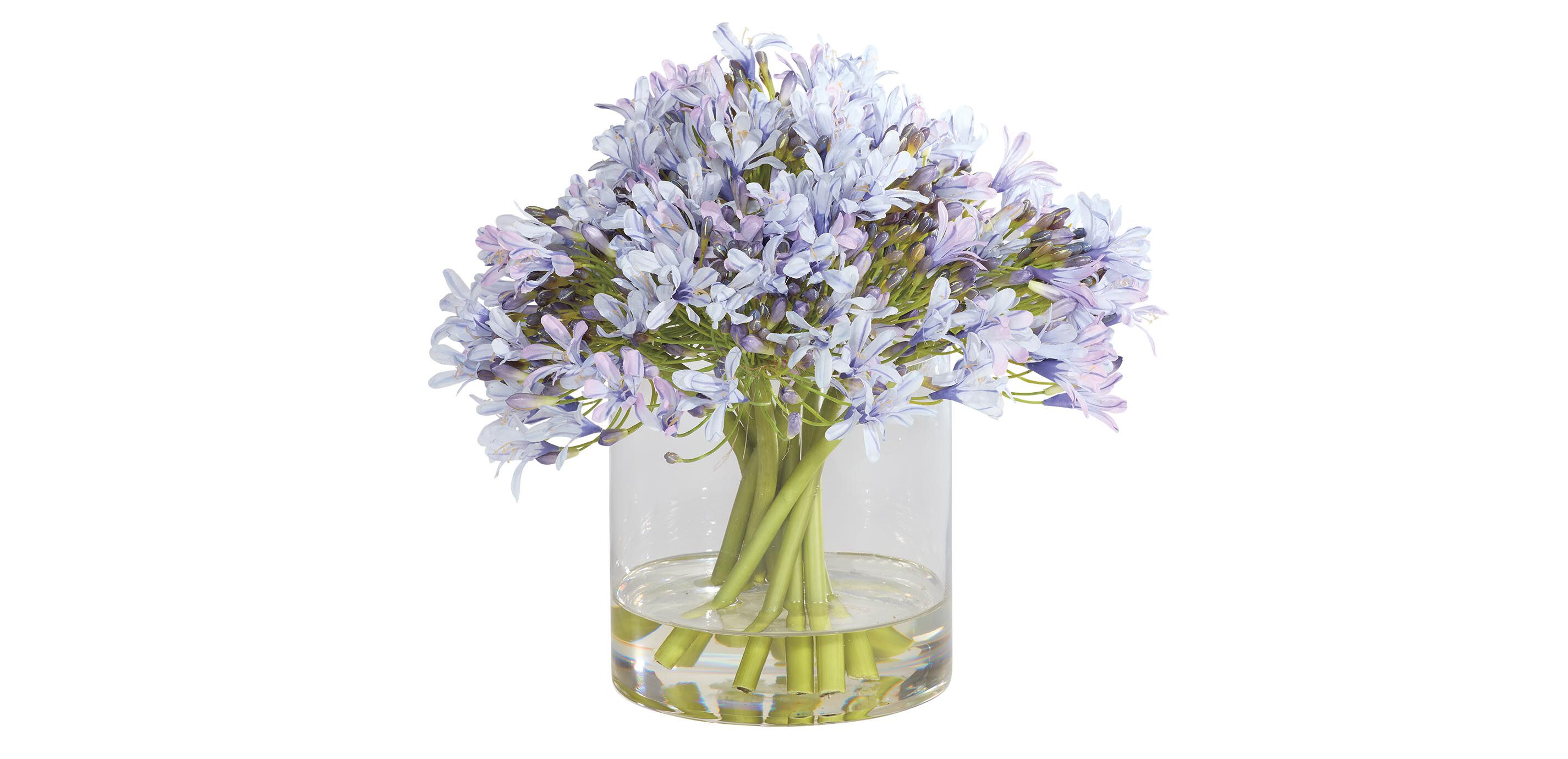 Blue Agapanthus Bouquet in Cylinder Vase_2