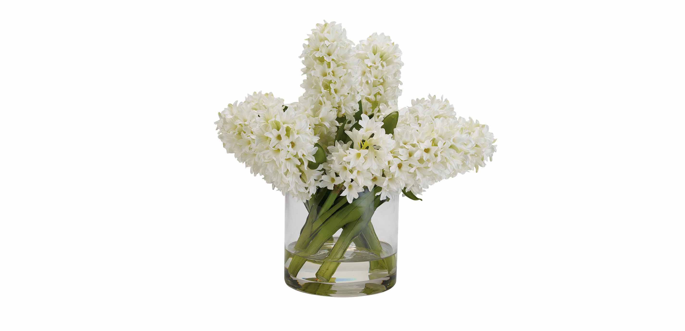 White Hyacinth Watergarden