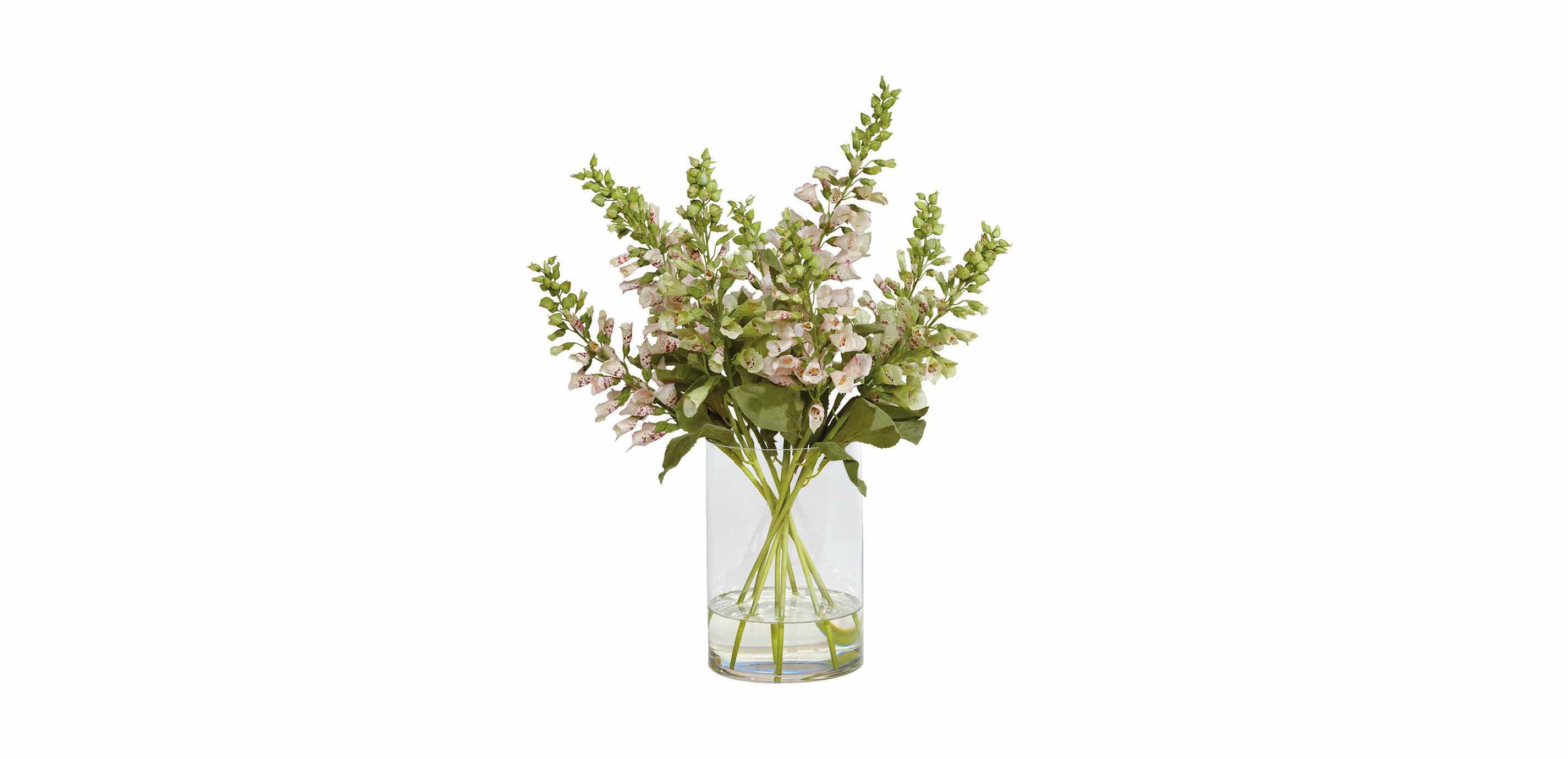 Foxglove Watergarden