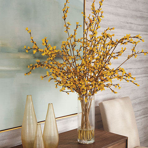 Tall Forsythia Watergarden Product Tile Hover Image 446637