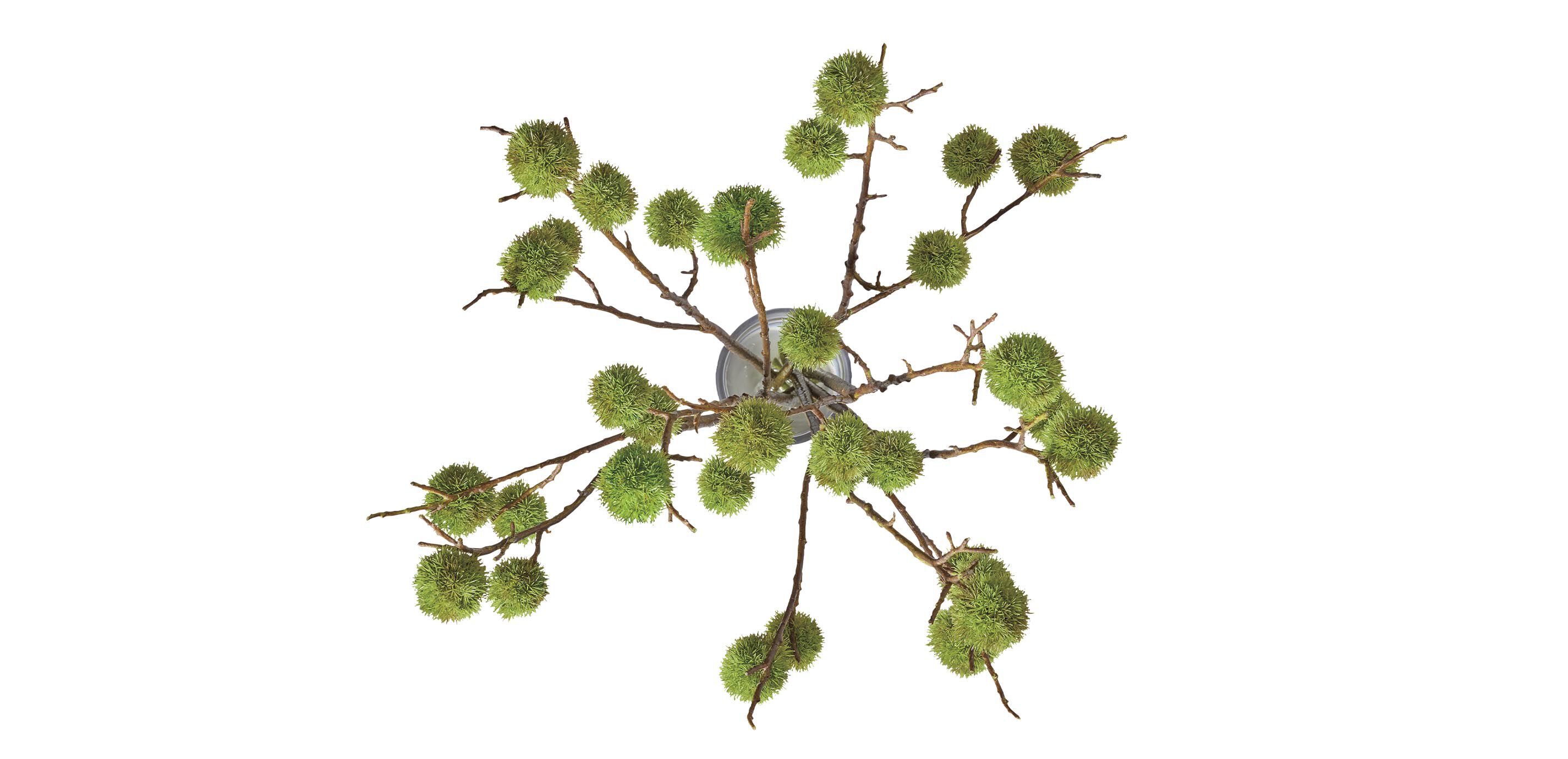 Chestnut Branch Arrangement in Tall Glass Vase_3