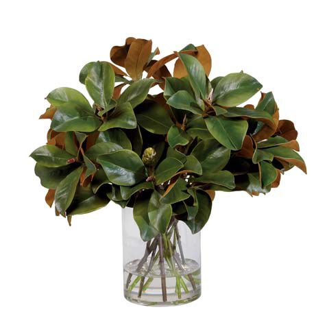 Magnolia Leaves Watergarden image