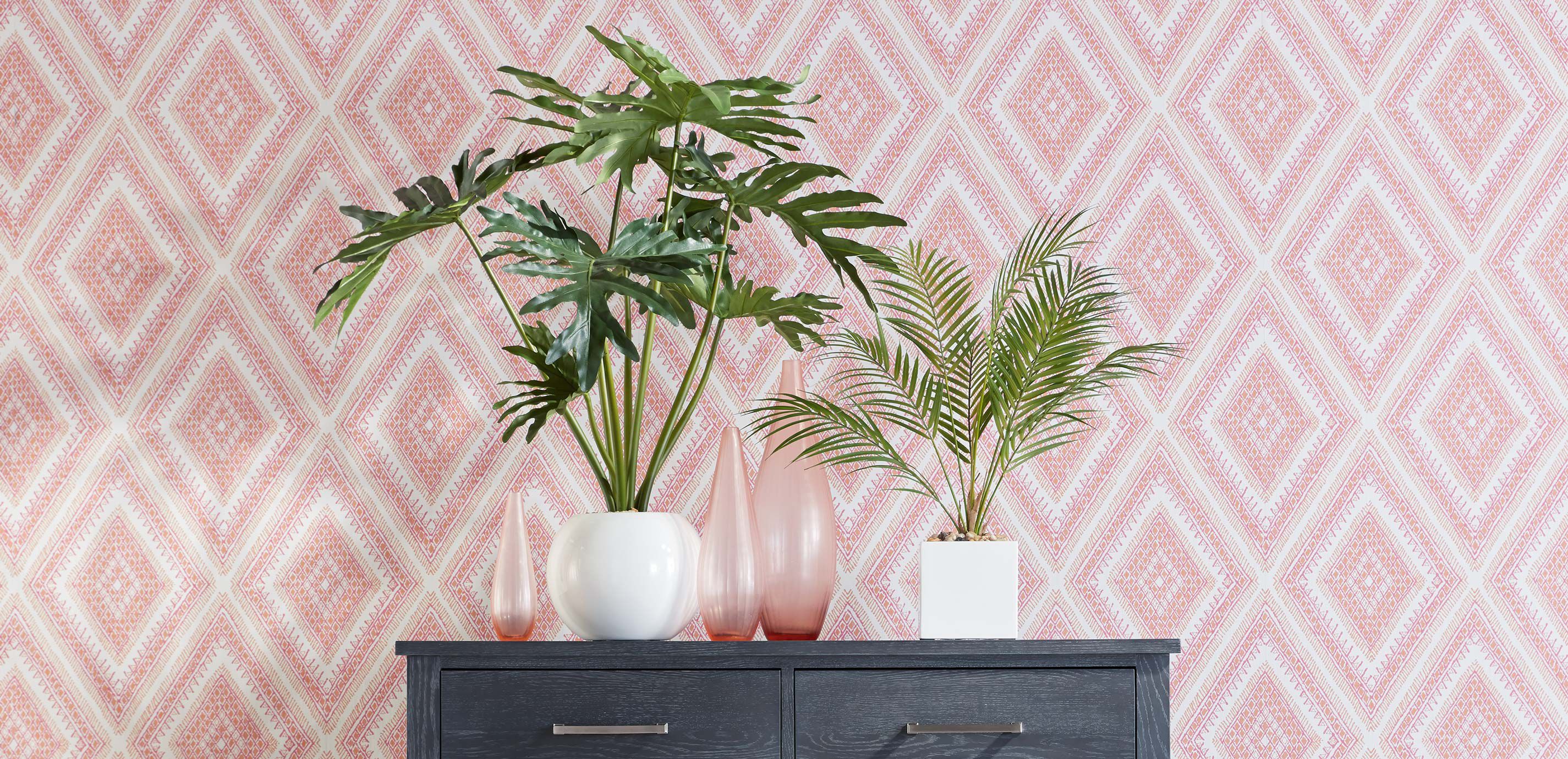 Philodendron in White Pot_1