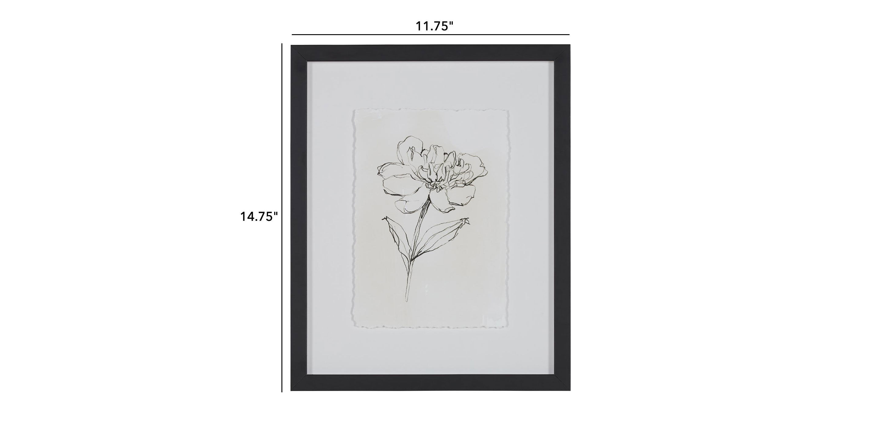 Floral Contour Study III_1