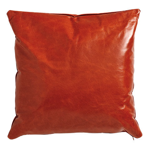 Leather Square Pillow image
