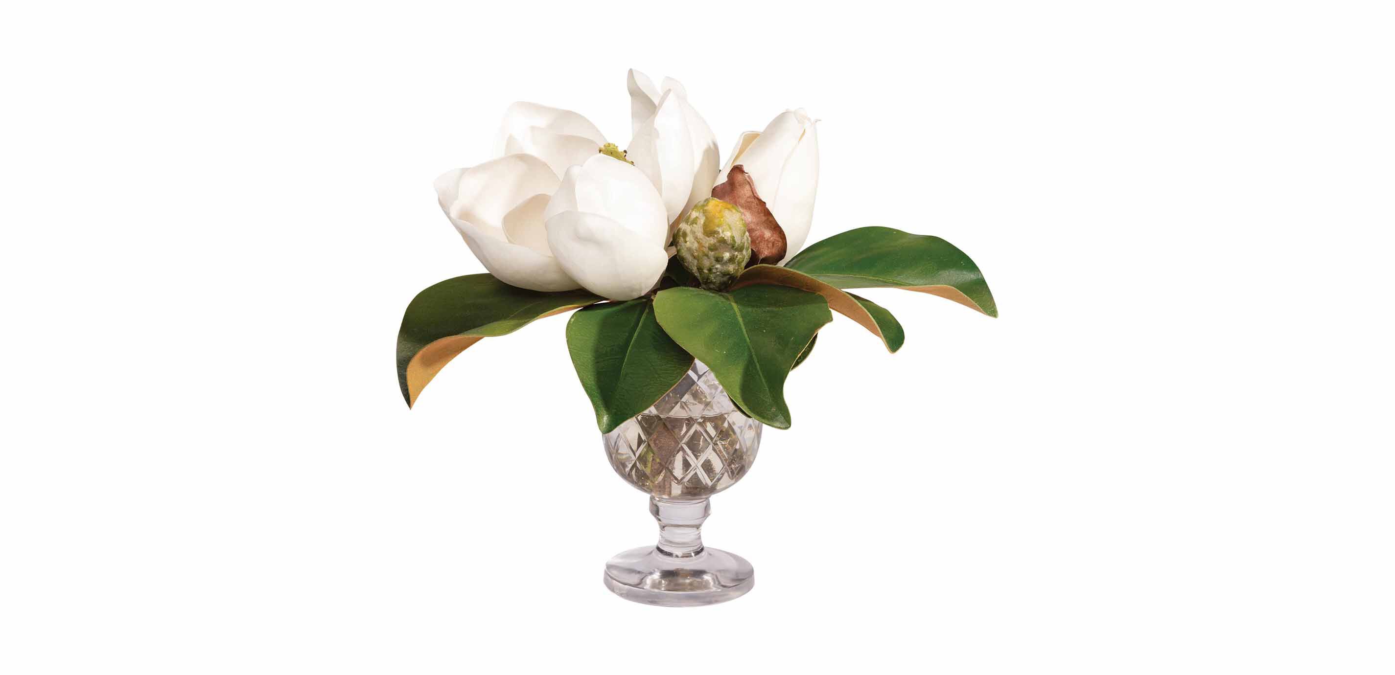 Magnolia Bouquet in Glass Vase_1
