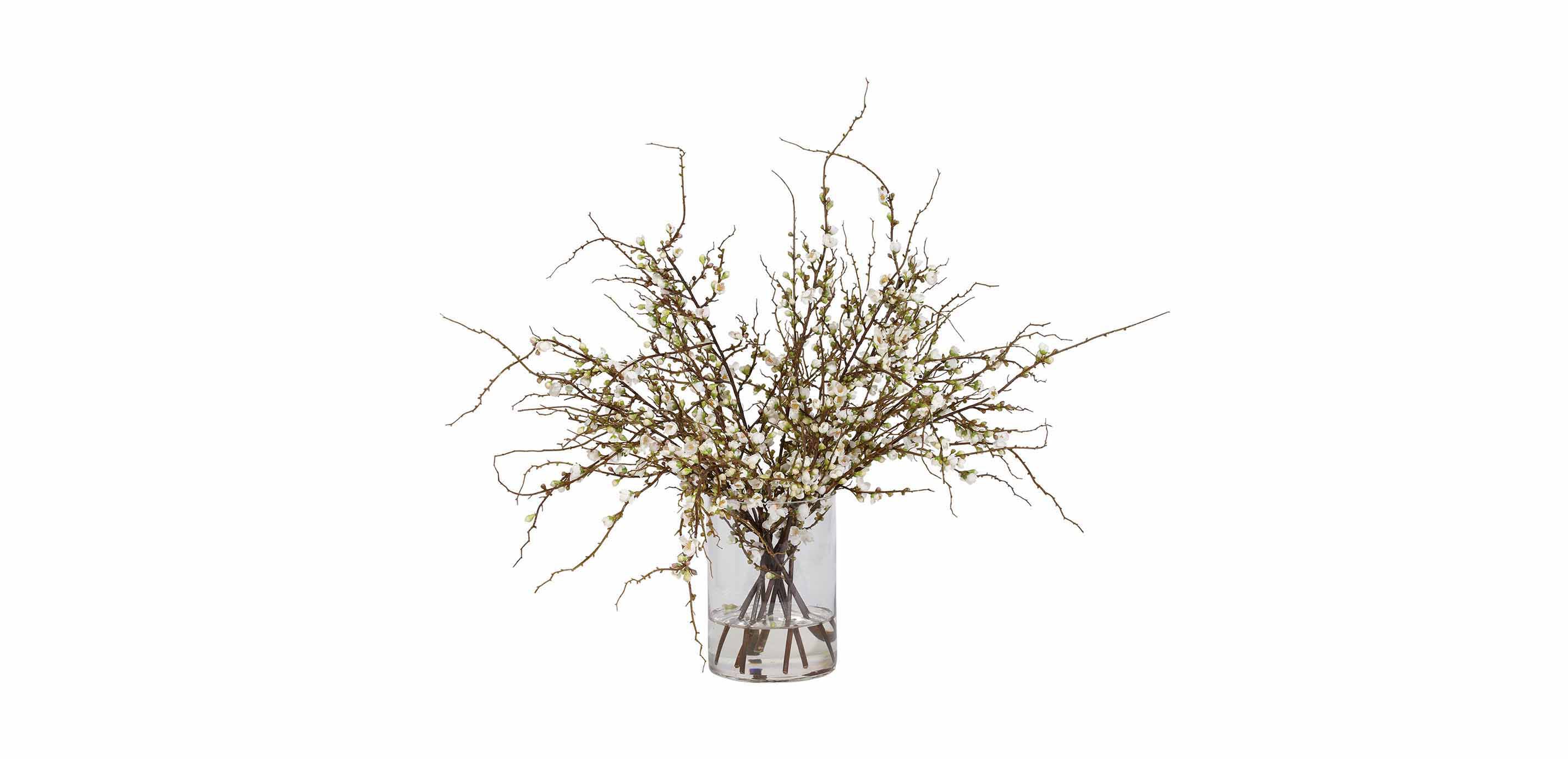 Peach Blossom Watergarden