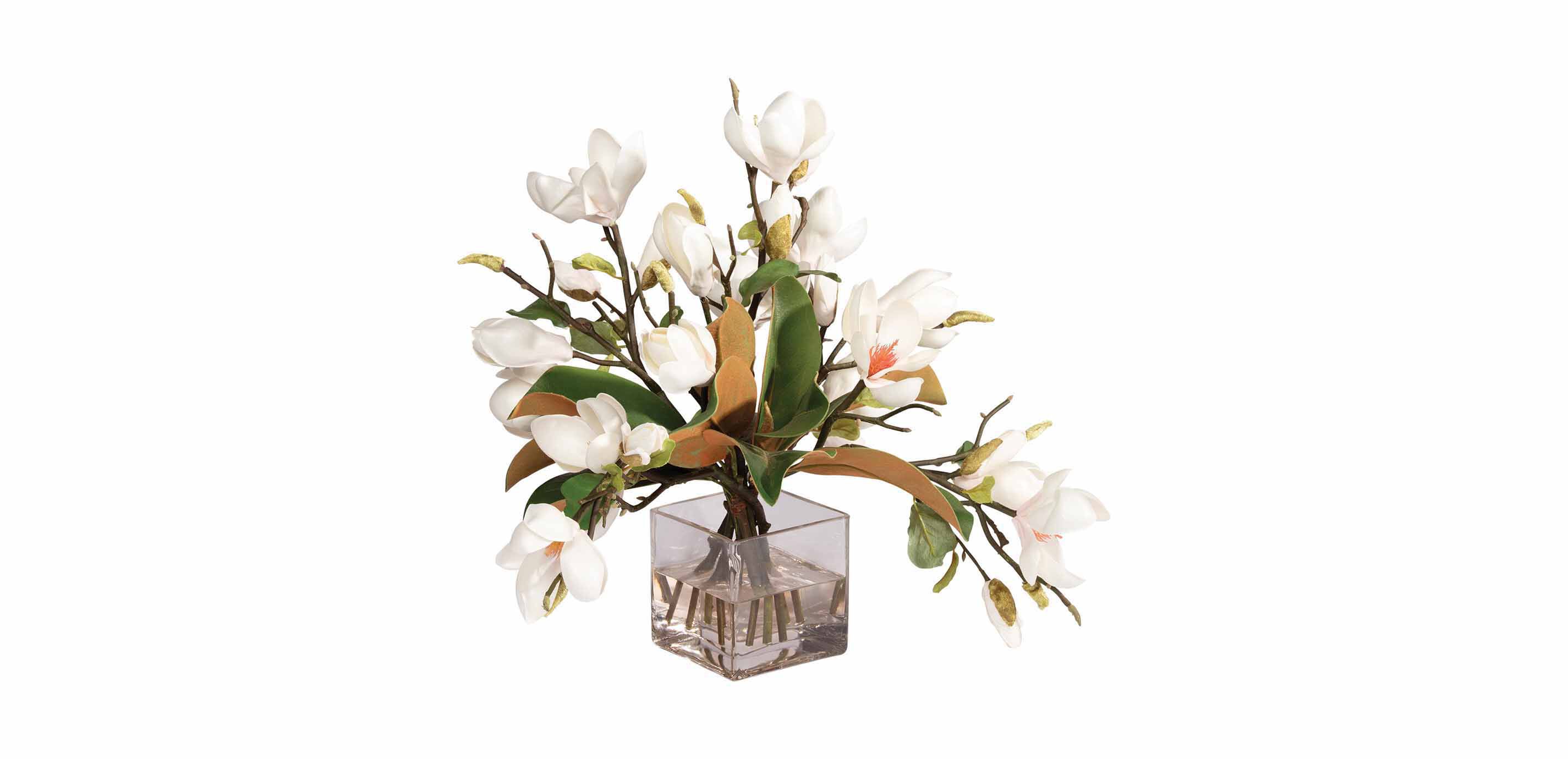 Magnolia Foliage Watergarden in Glass Cube