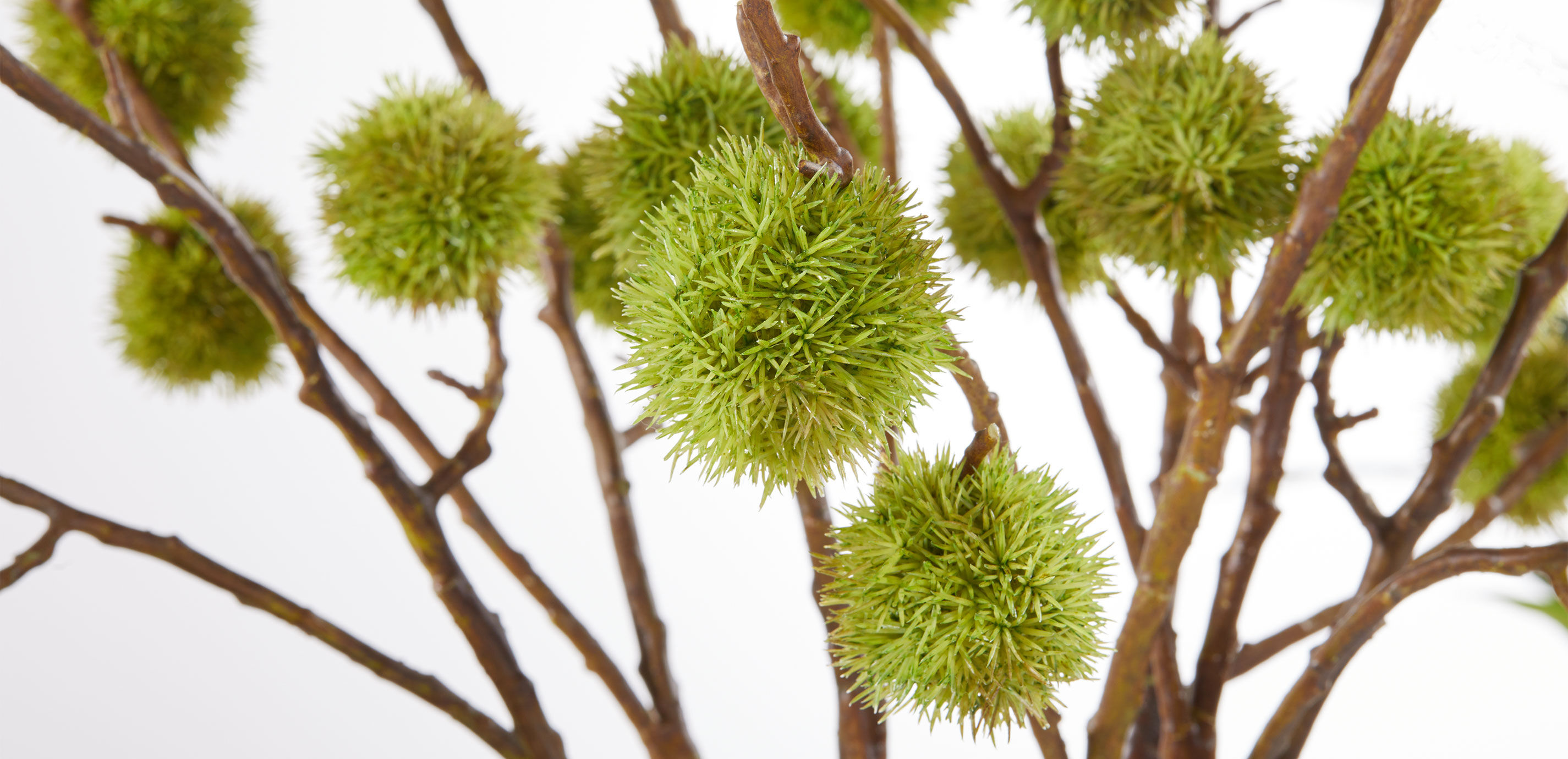 Chestnut Branch Arrangement in Tall Glass Vase_6
