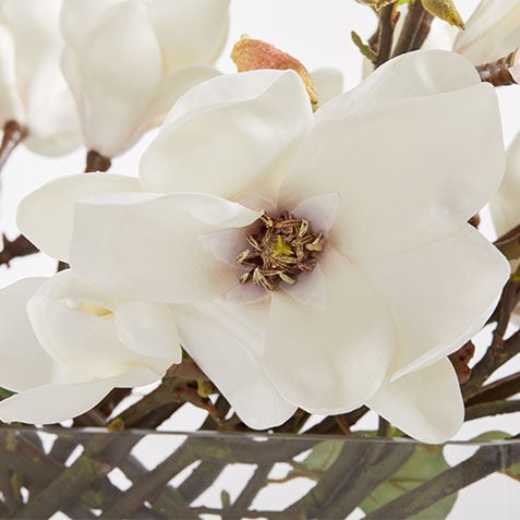 Magnolia Arrangement in Linear Vase Product Tile Hover Image 443804   WHT