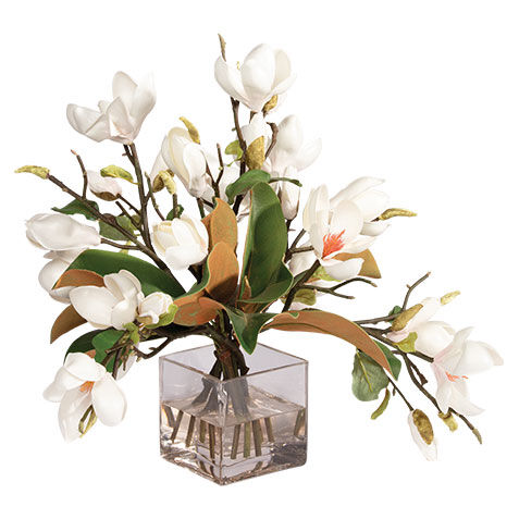 Magnolia Foliage Watergarden in Glass Cube image