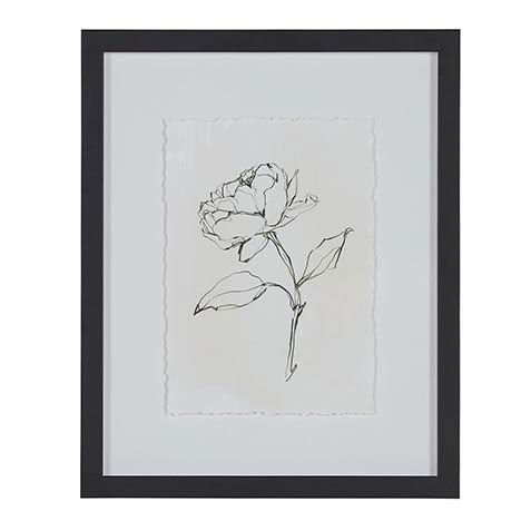 Floral Contour Study II image