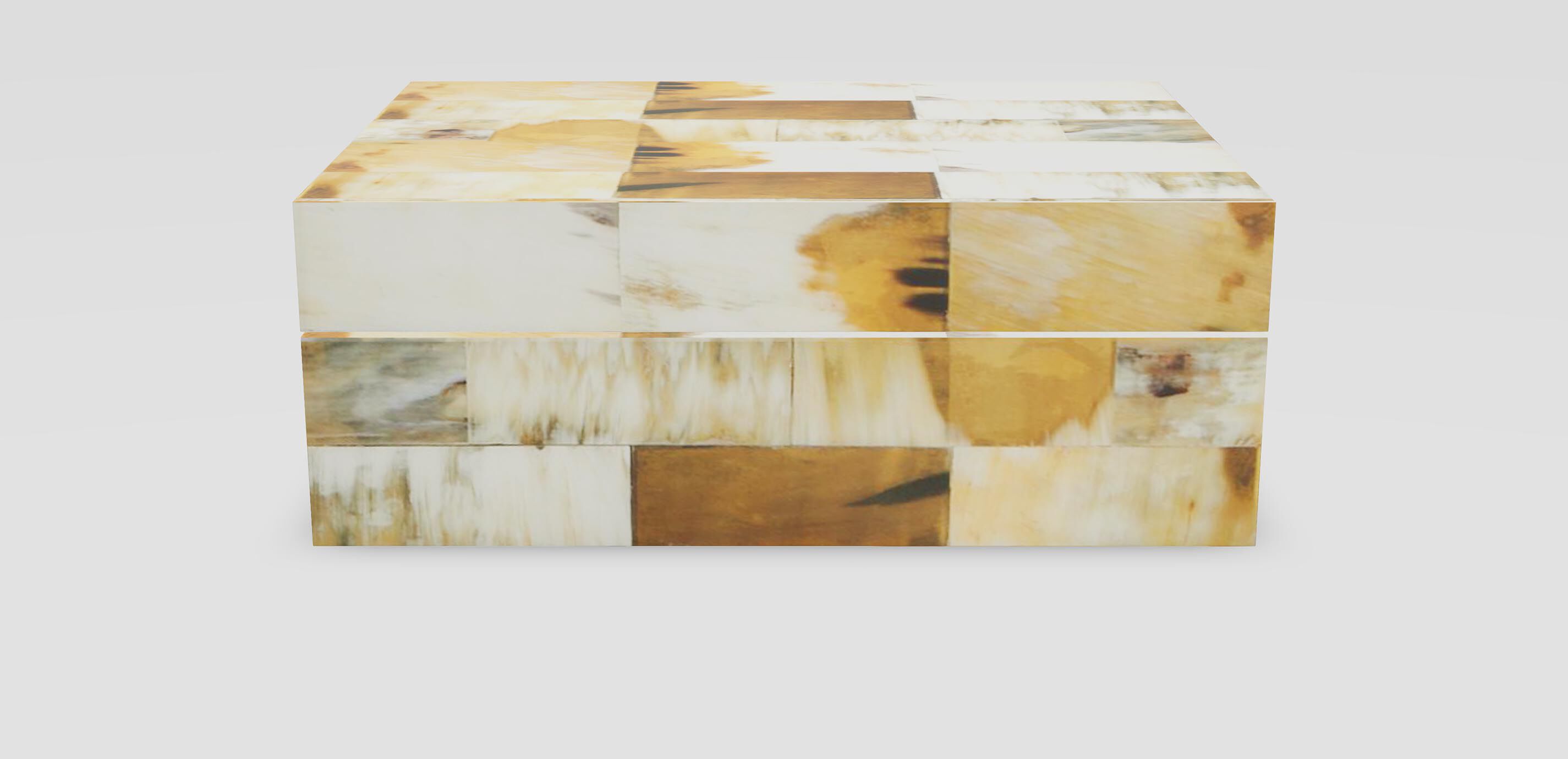 Light Horn Inlay Box 1