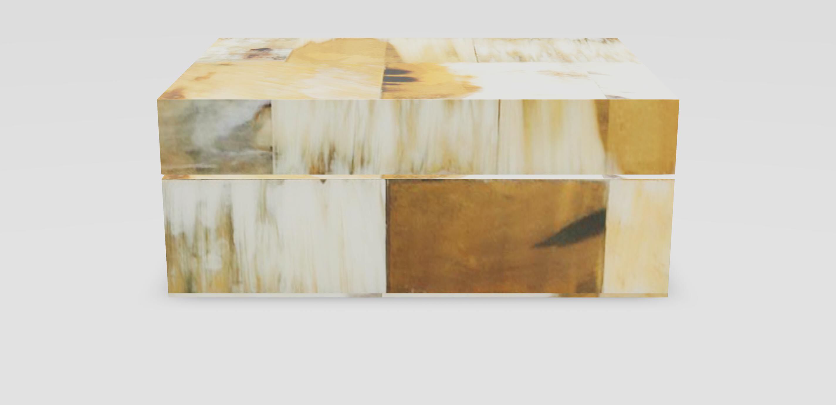 Light Horn Inlay Box 1