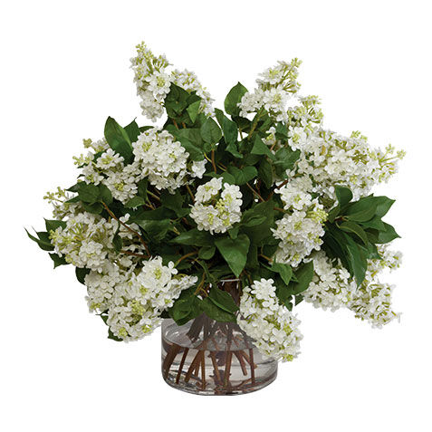 White Lilac Watergarden image