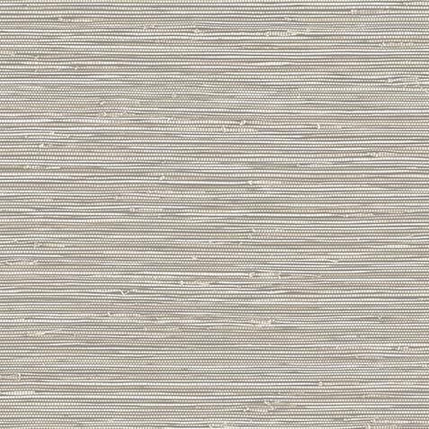 Banni Wallpaper image