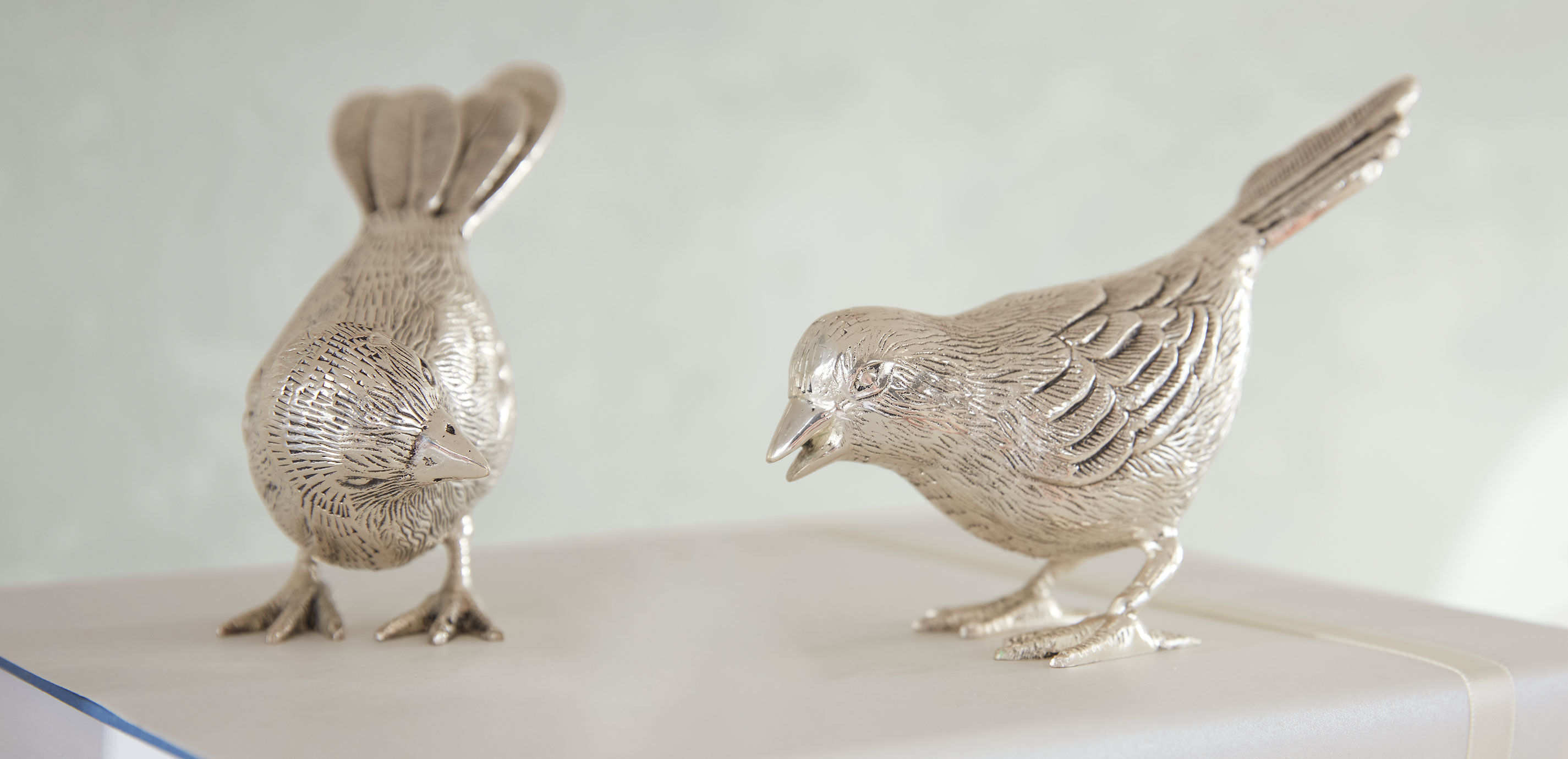 Ensemble de deux oiseaux chanteurs _1