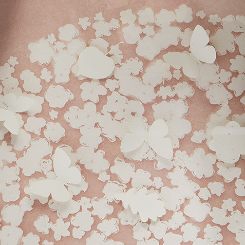 Daisy Dream V Product Tile Hover Image 073224E