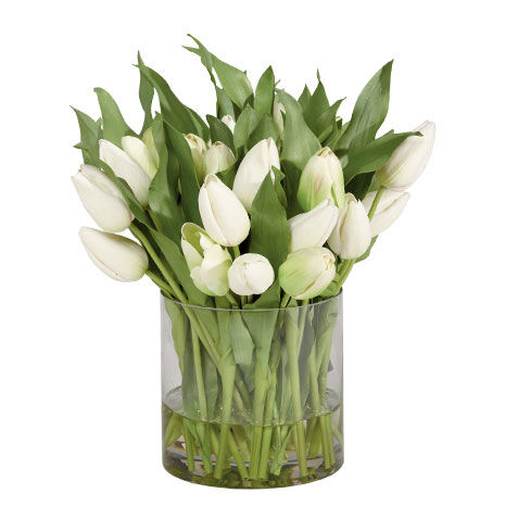 White Tulip Watergarden image