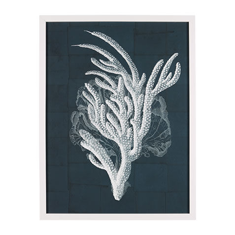 Nautical Coral II image