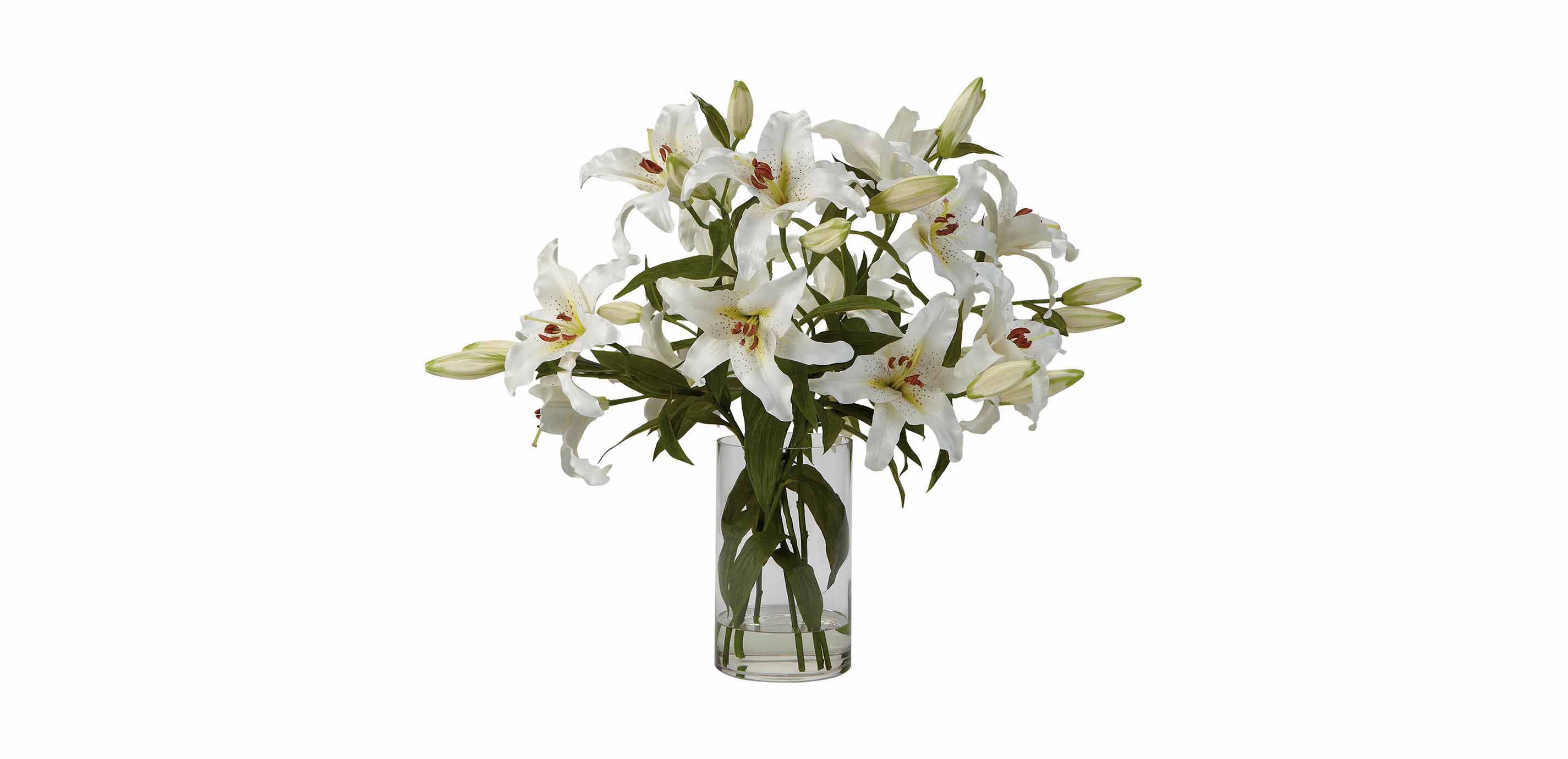 Casablanca Lily Watergarden