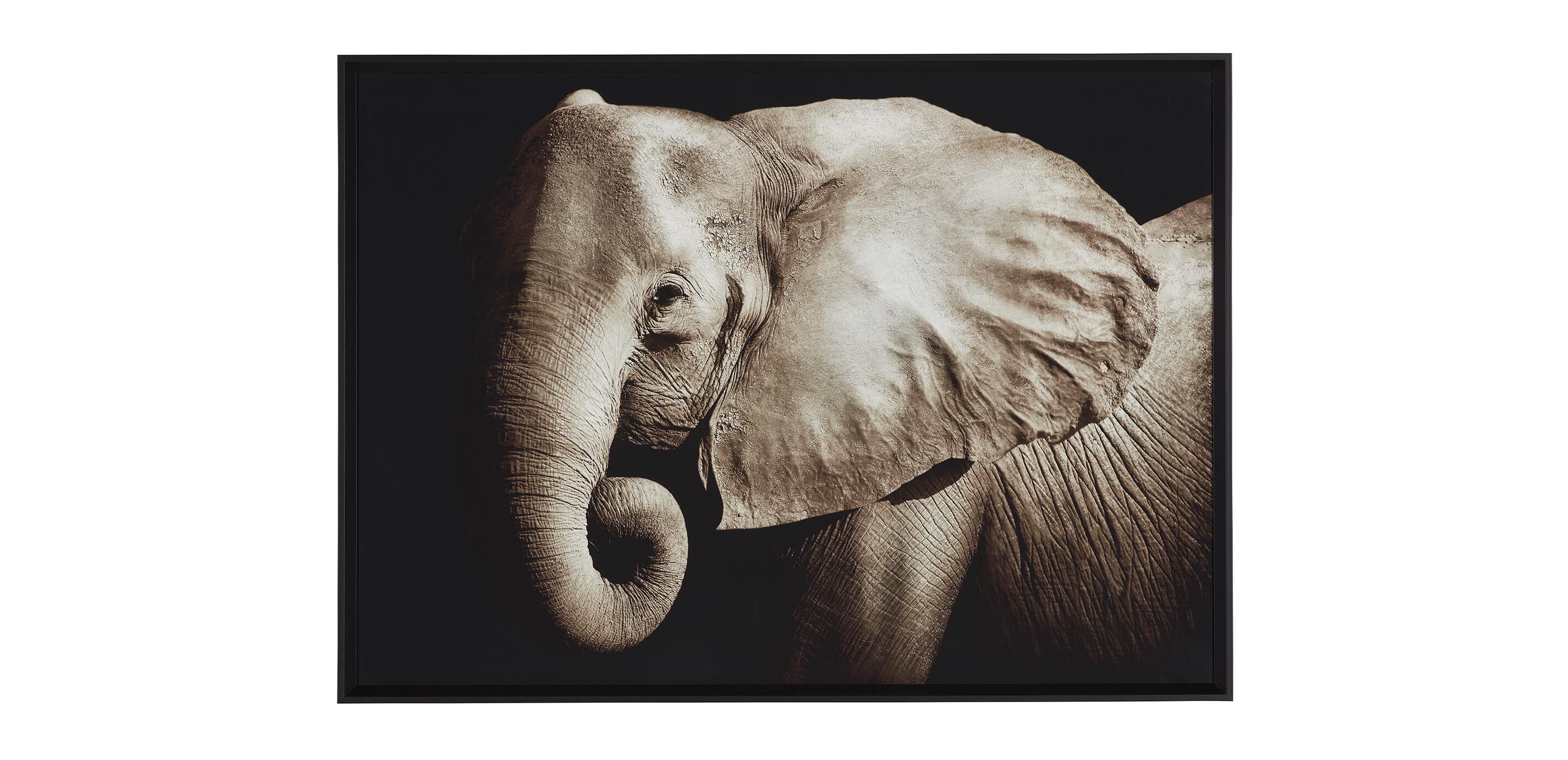 Strayed into Shadow I