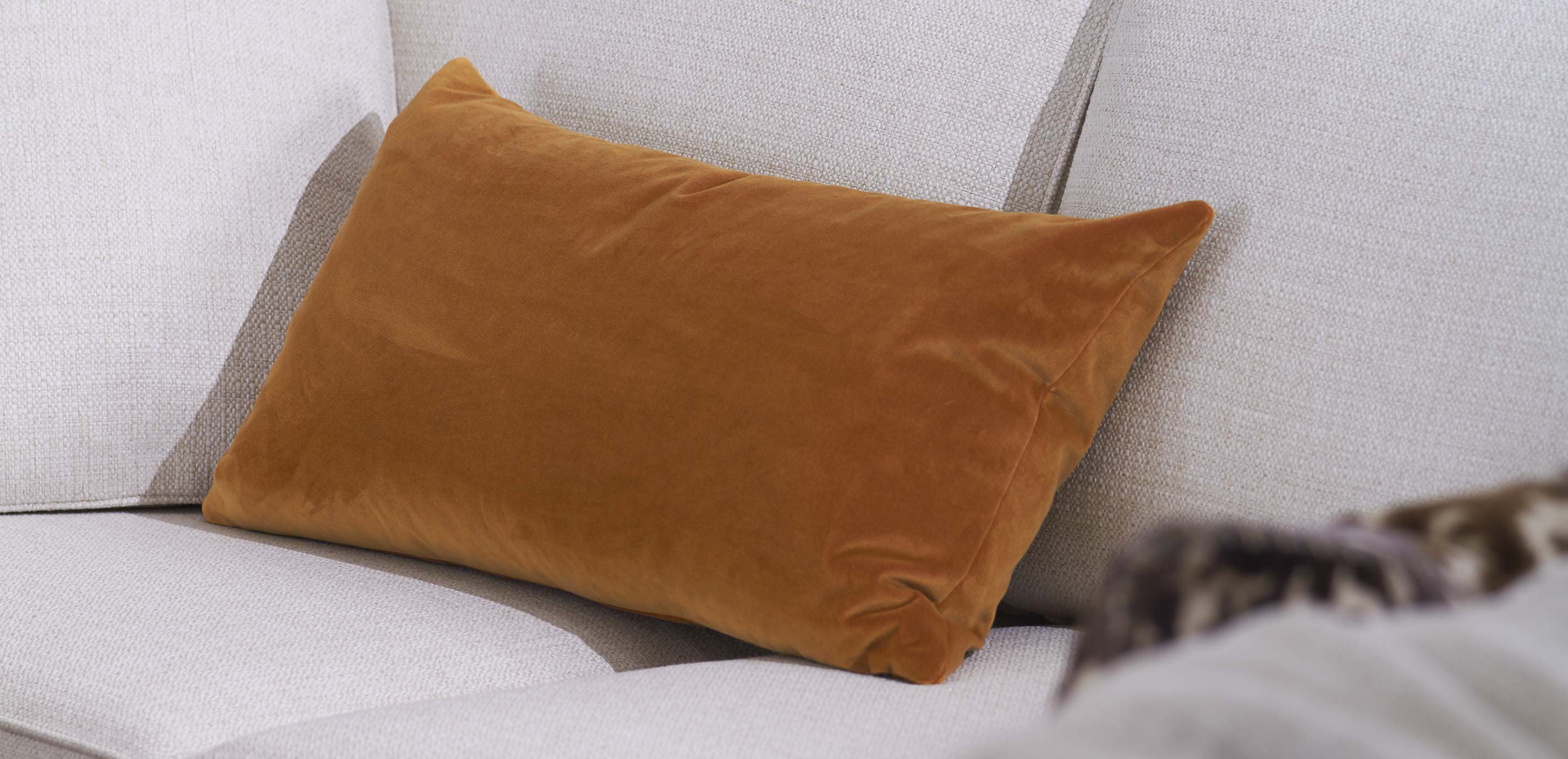 Velvet Lumbar Pillow_3