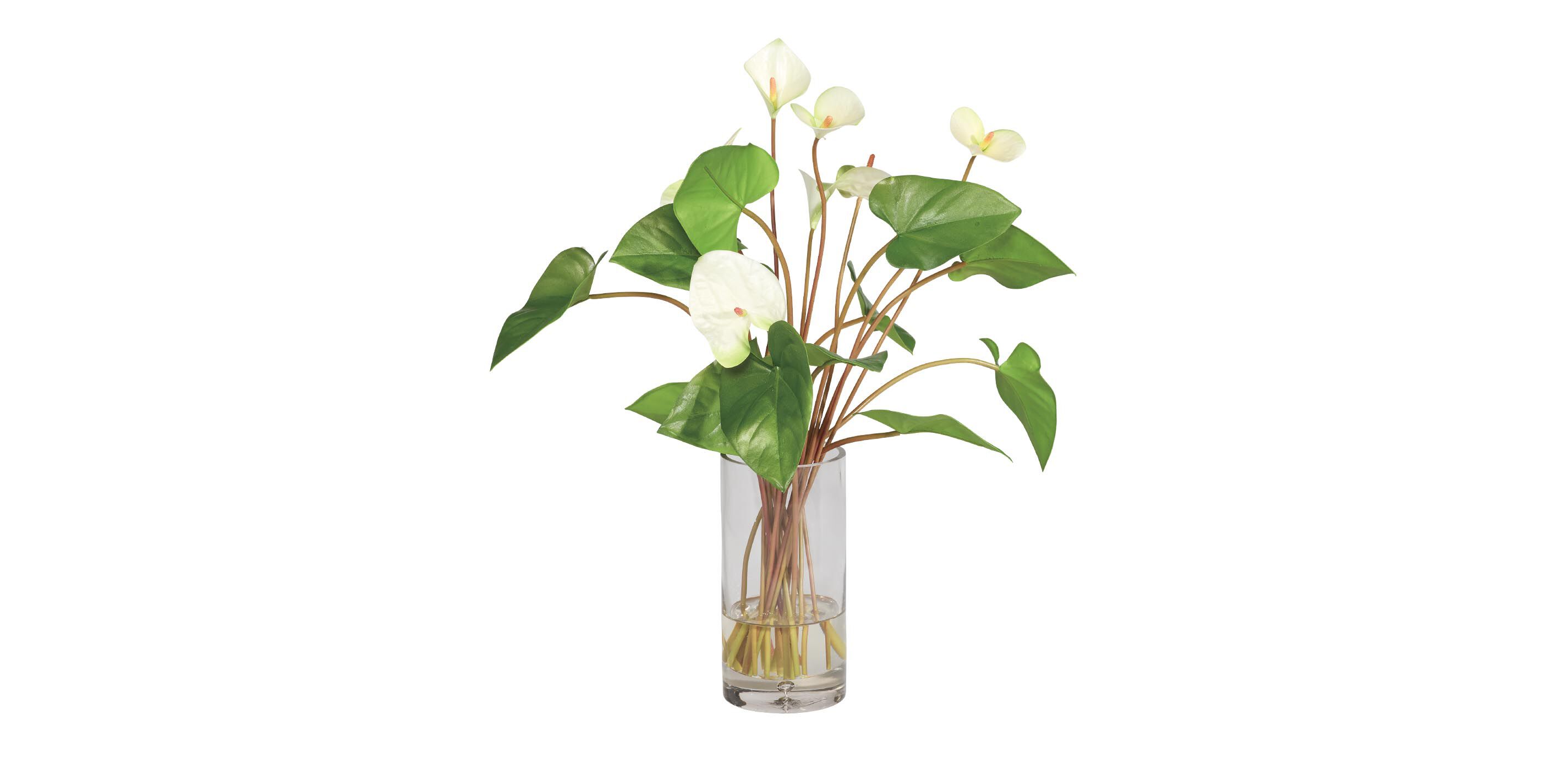 Tropical Anthurium Bouquet in Glass Vase_2
