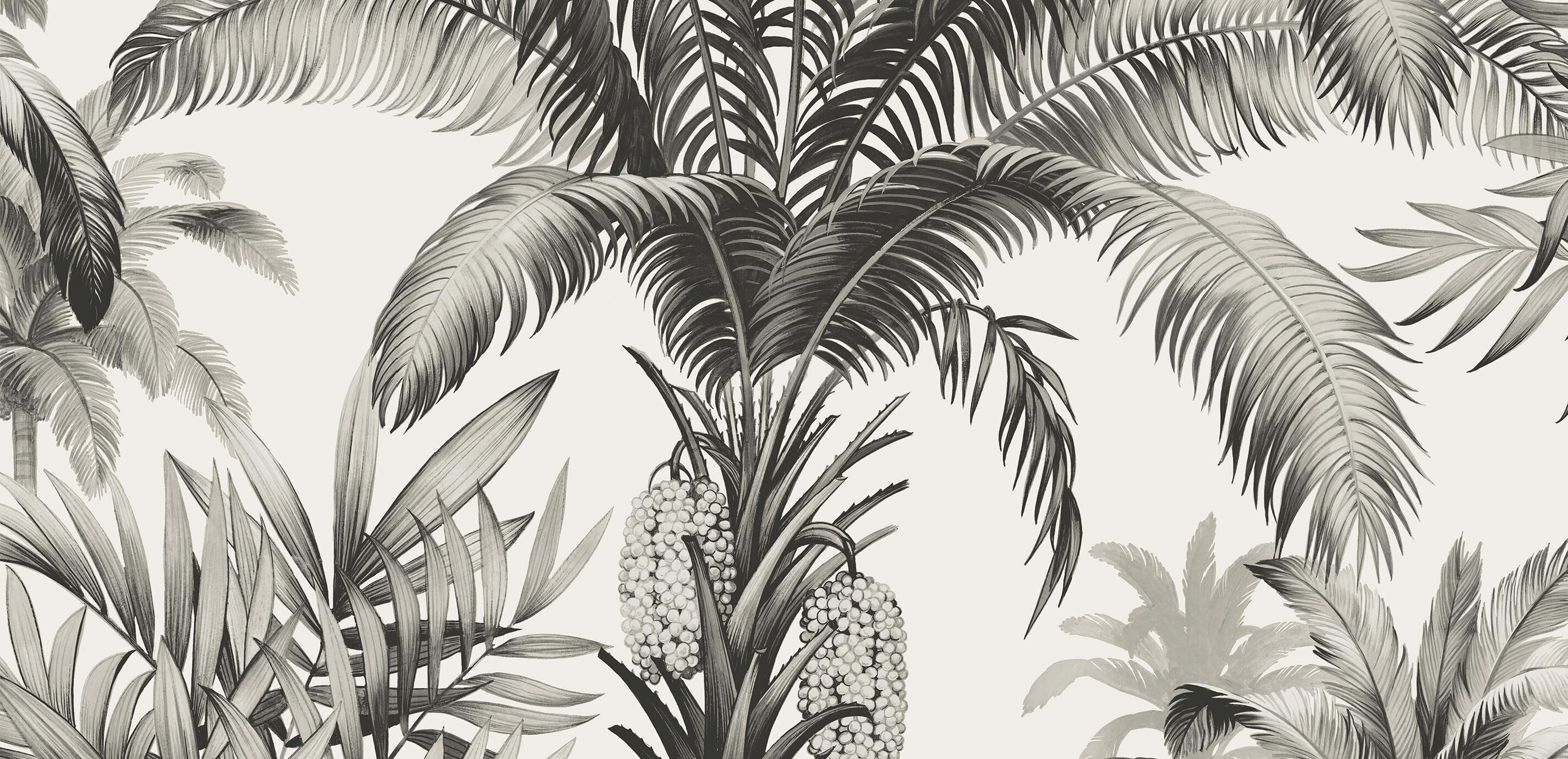 Tropical Palms Wallpaper
