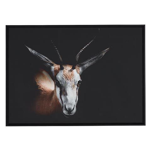 Strayed into Shadow VI image