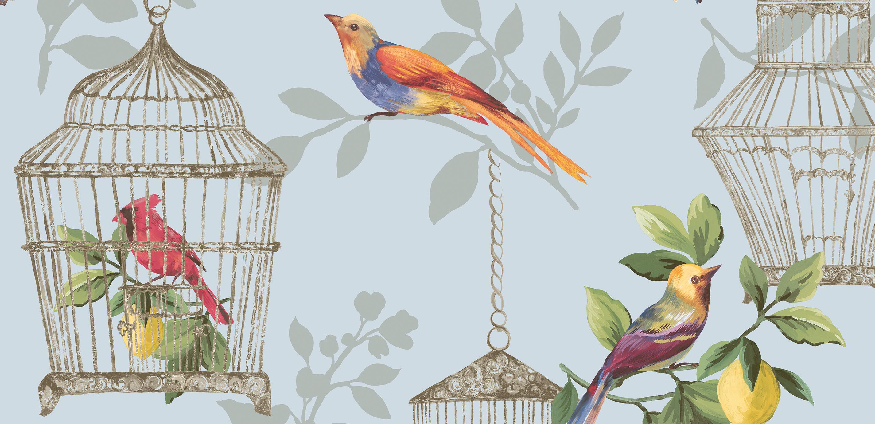 Birdcage Wallpaper