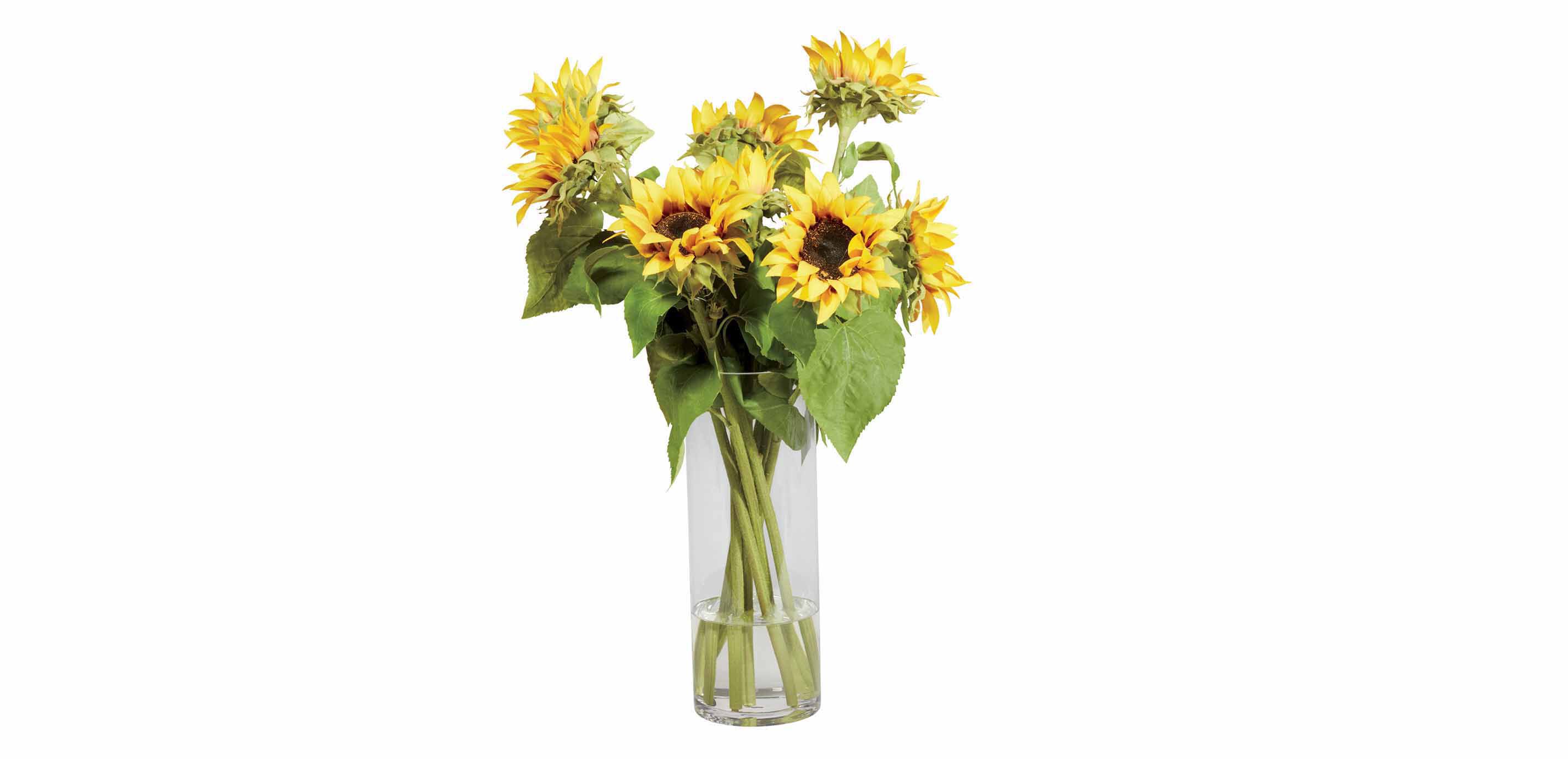 Sunflowers in Tall Vase