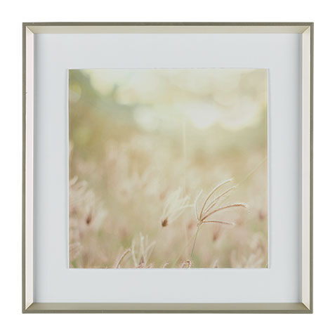 Natural Glow IV image