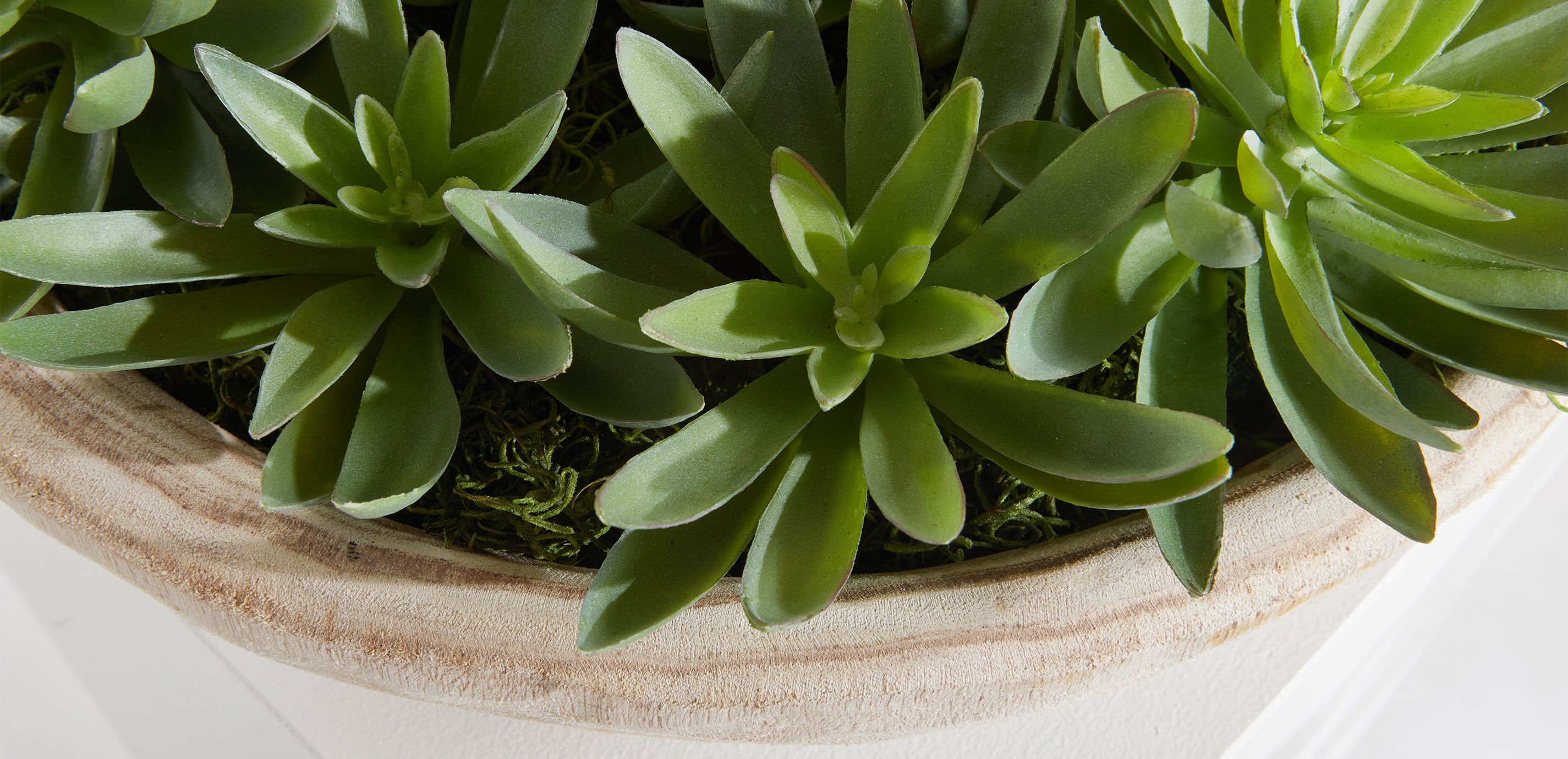 Succulent Centerpiece in natural wood bowl_8