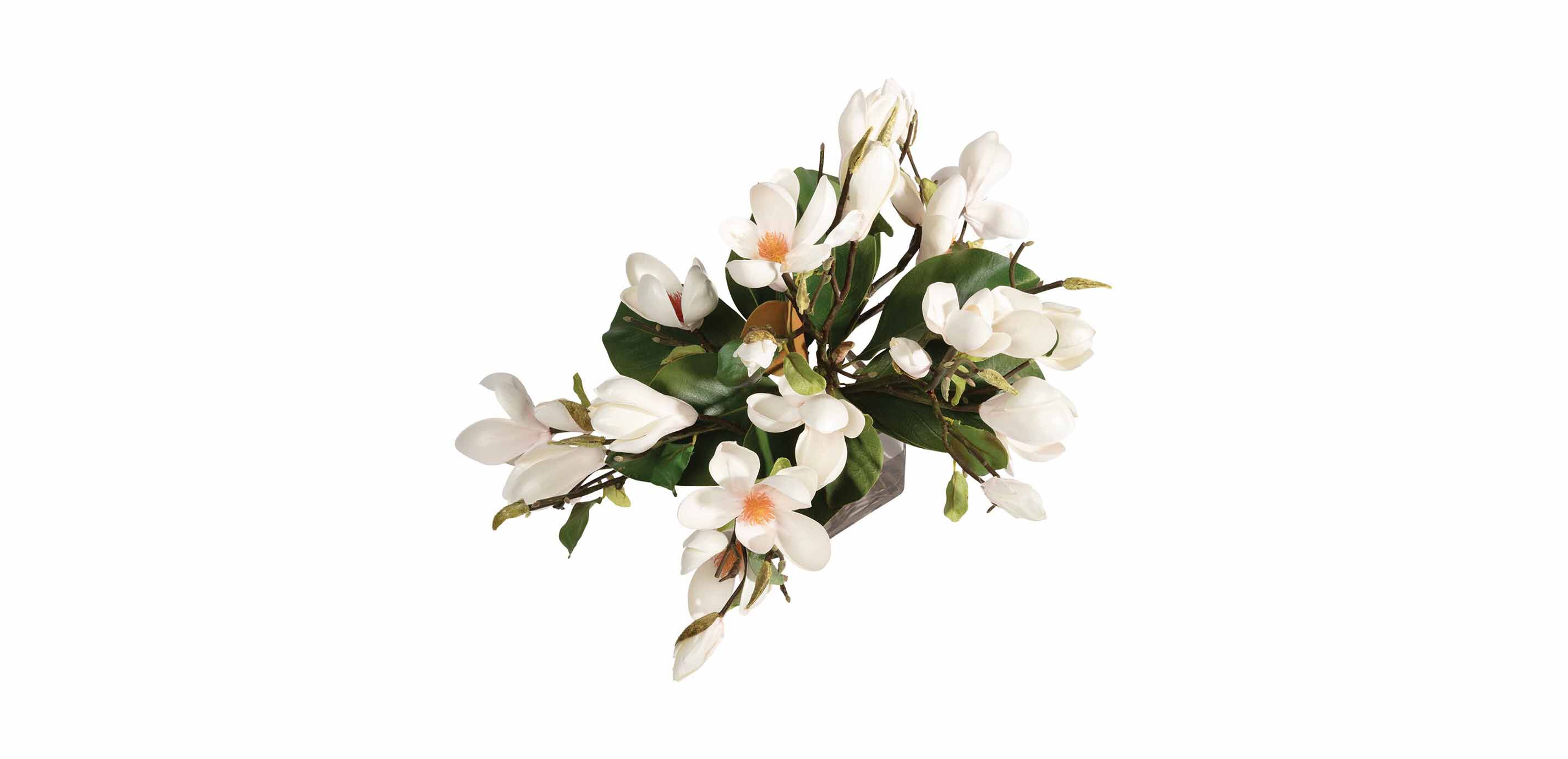 Magnolia Foliage Watergarden in Glass Cube_1