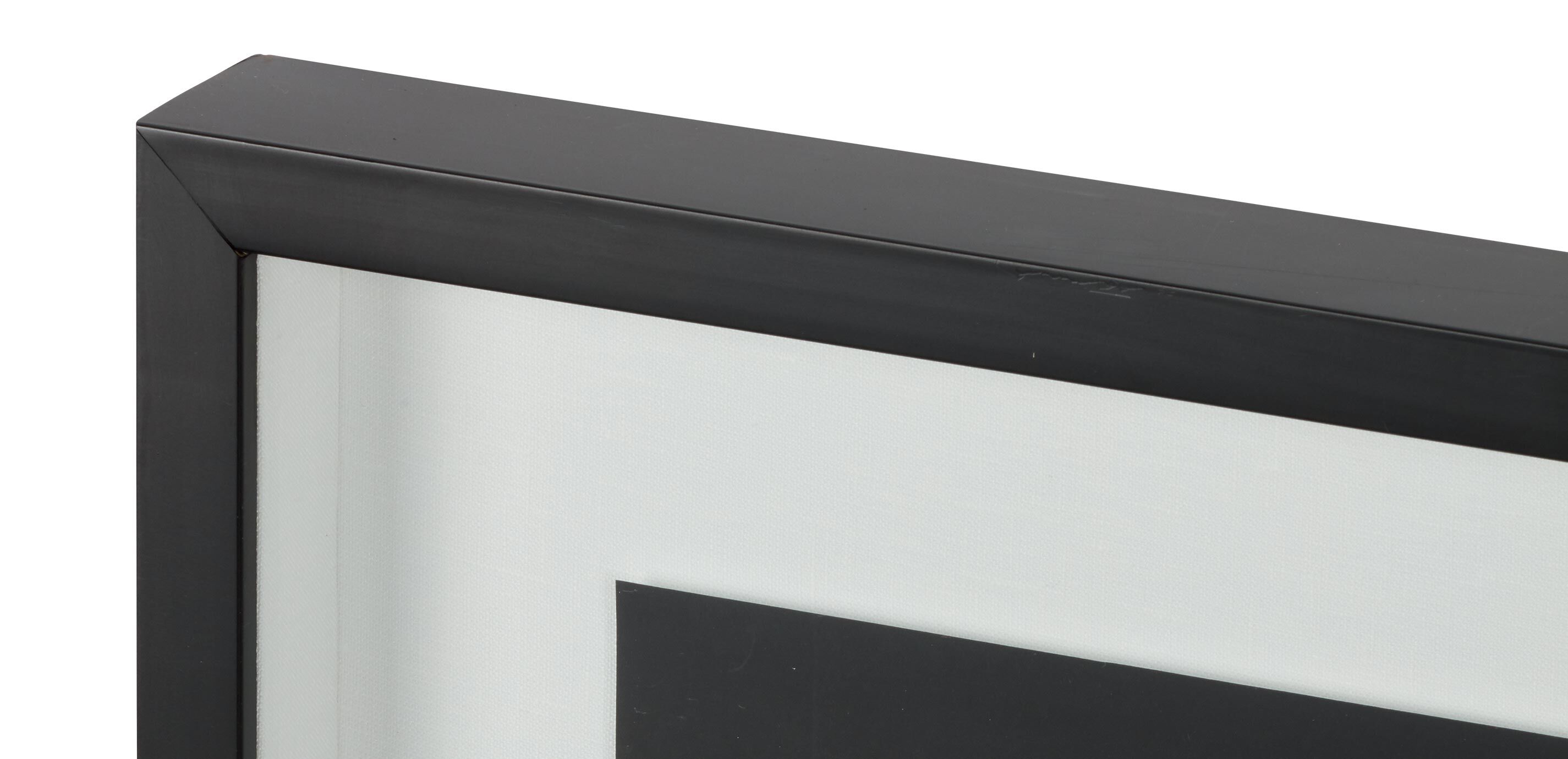 Black Botanical II_1