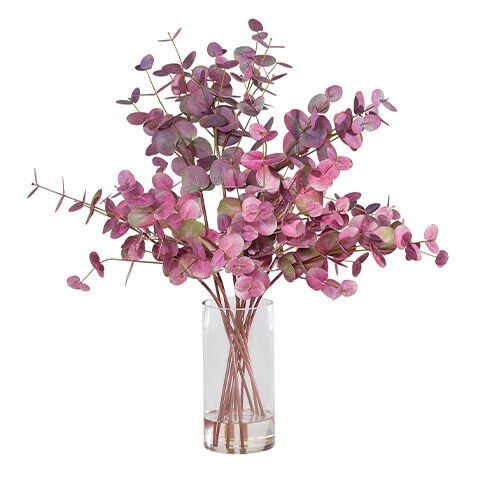 Burgundy Eucalyptus Arrangement in Glass Vase image
