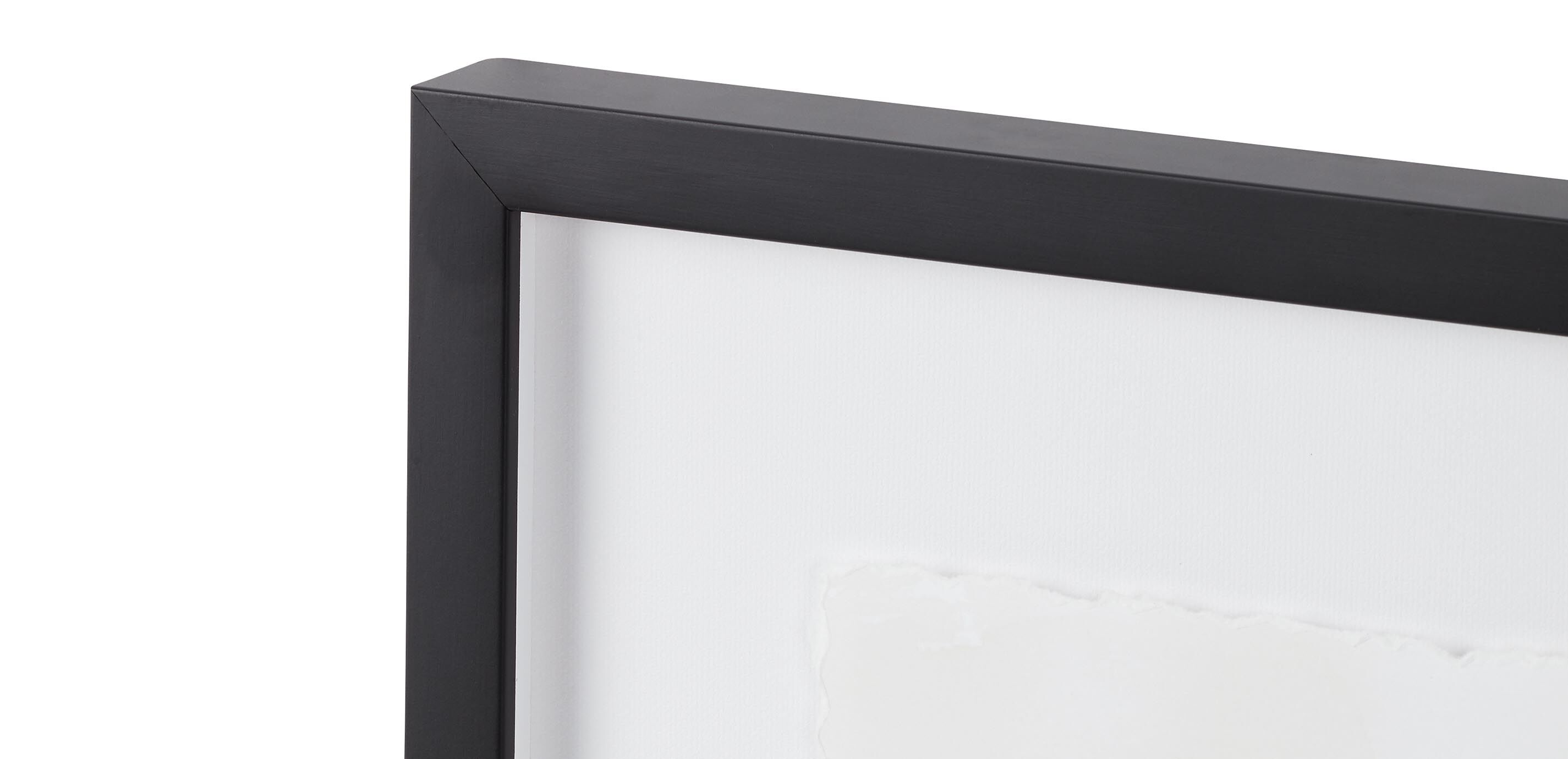 Floral Contour Study II_2