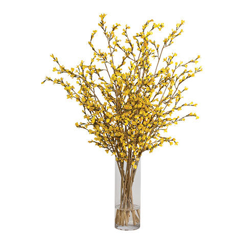 Tall Forsythia Watergarden image