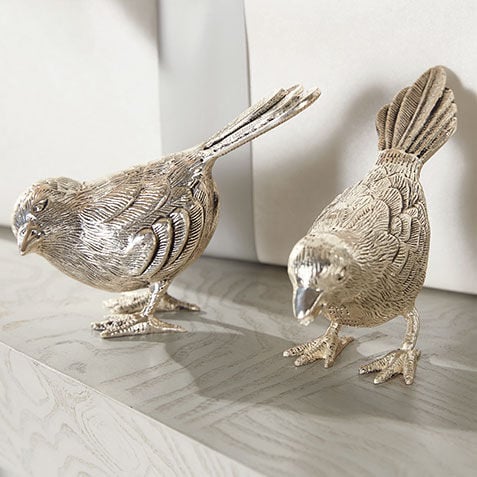 Ensemble de deux oiseaux chanteurs  Product Tile Hover Image 437211