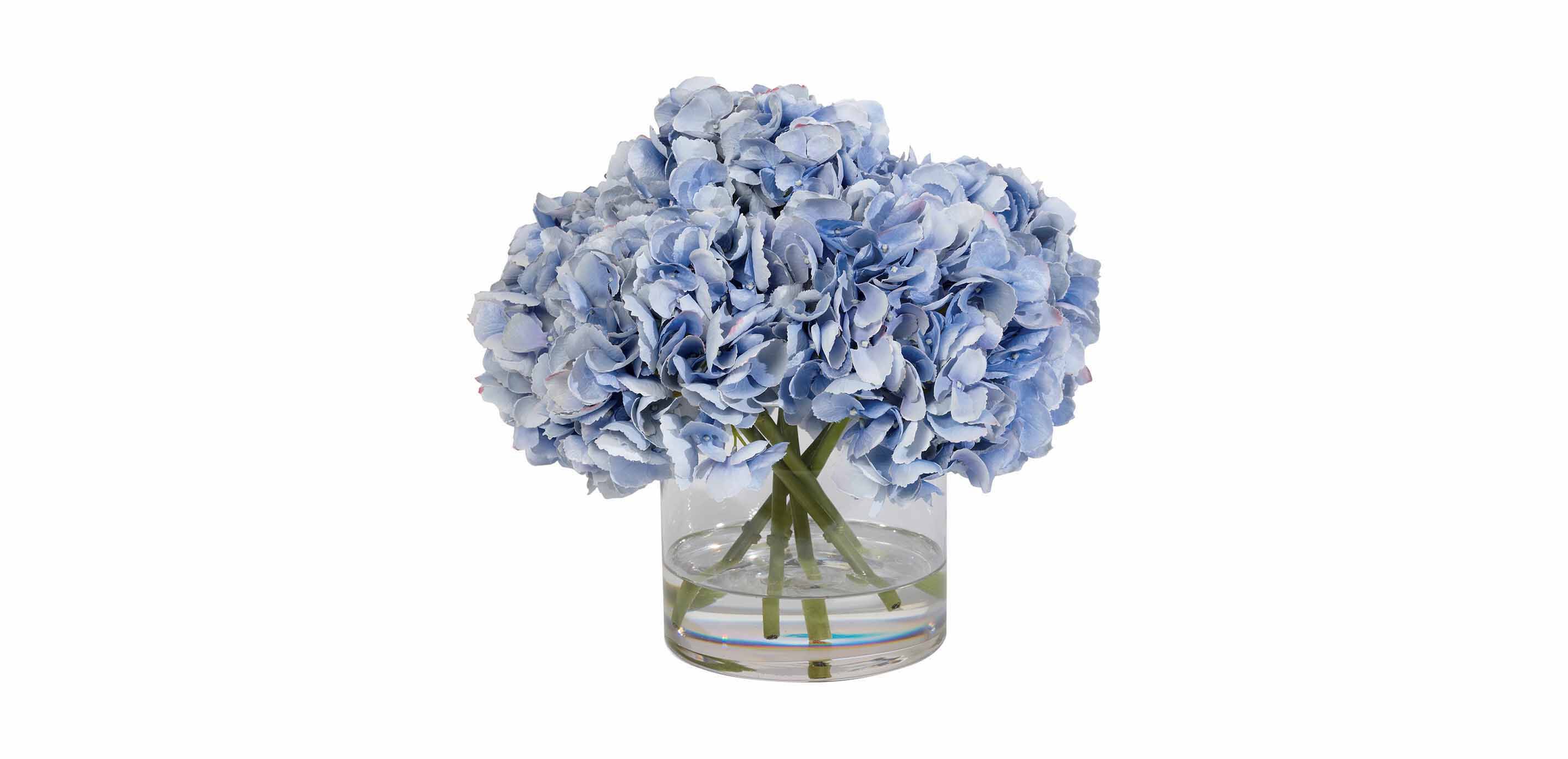 Blue Hydrangea Watergarden