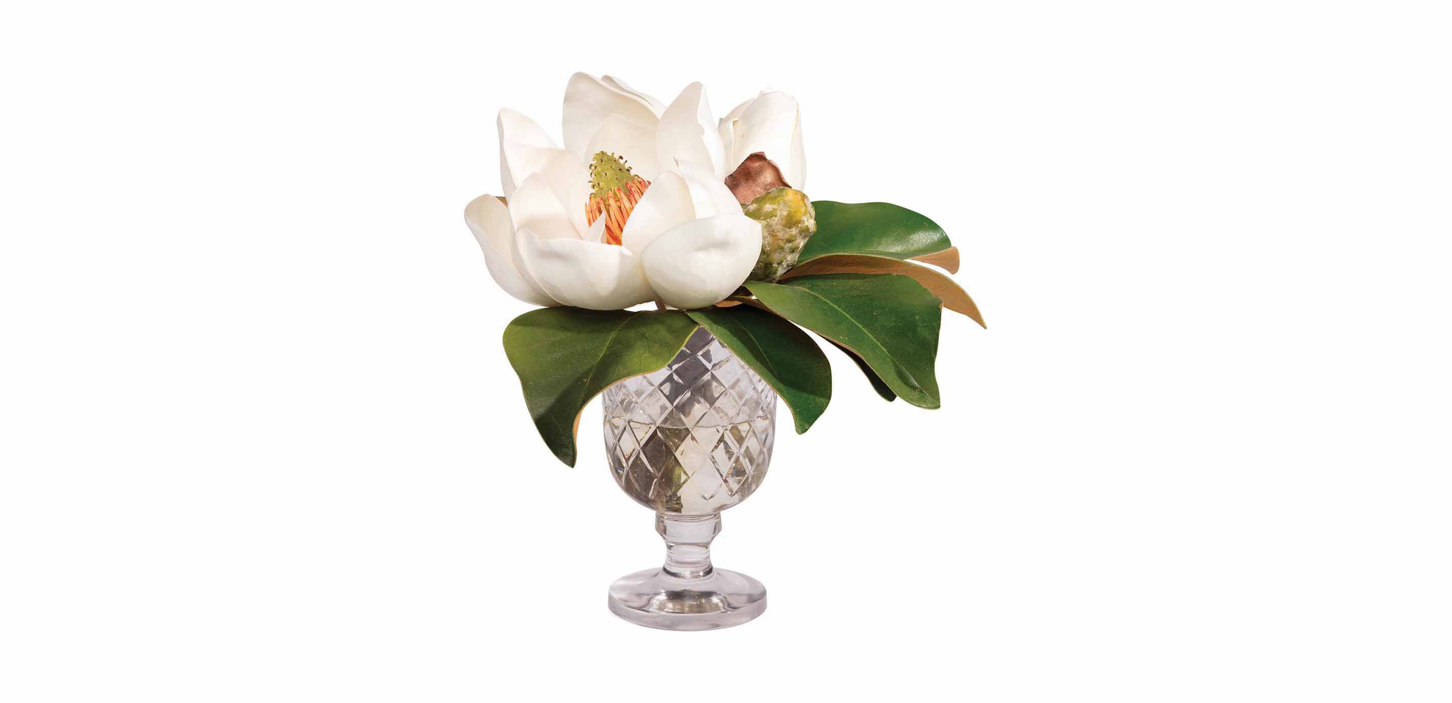 Magnolia Bouquet in Glass Vase