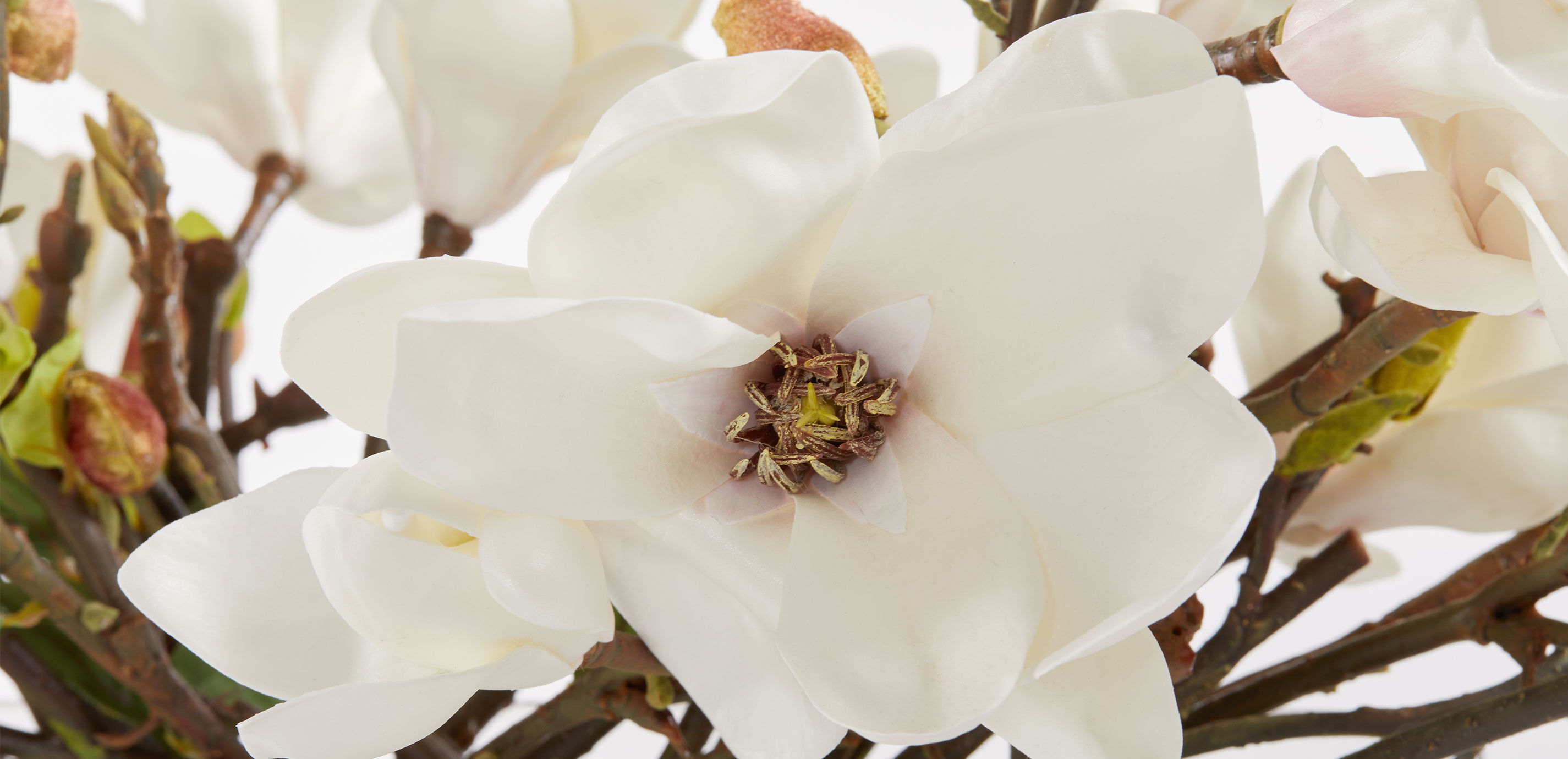 Magnolia Arrangement in Linear Vase_5