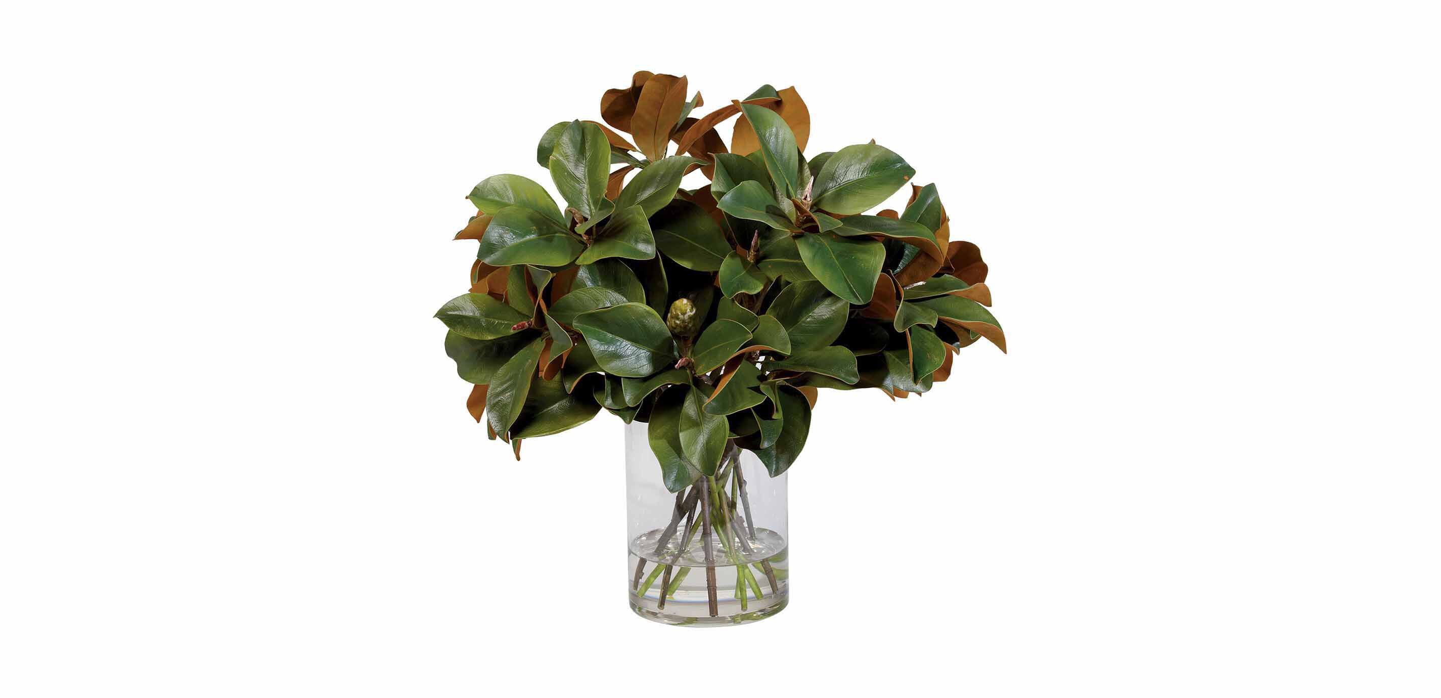 Magnolia Leaves Watergarden