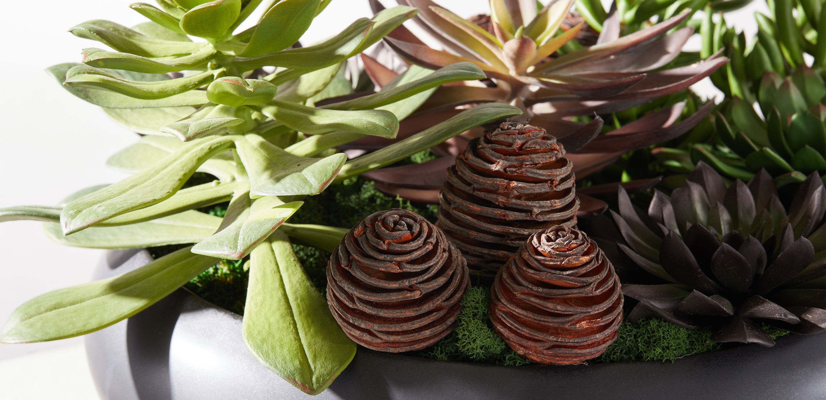 Dark Succulent Centerpiece in Black Bowl_4