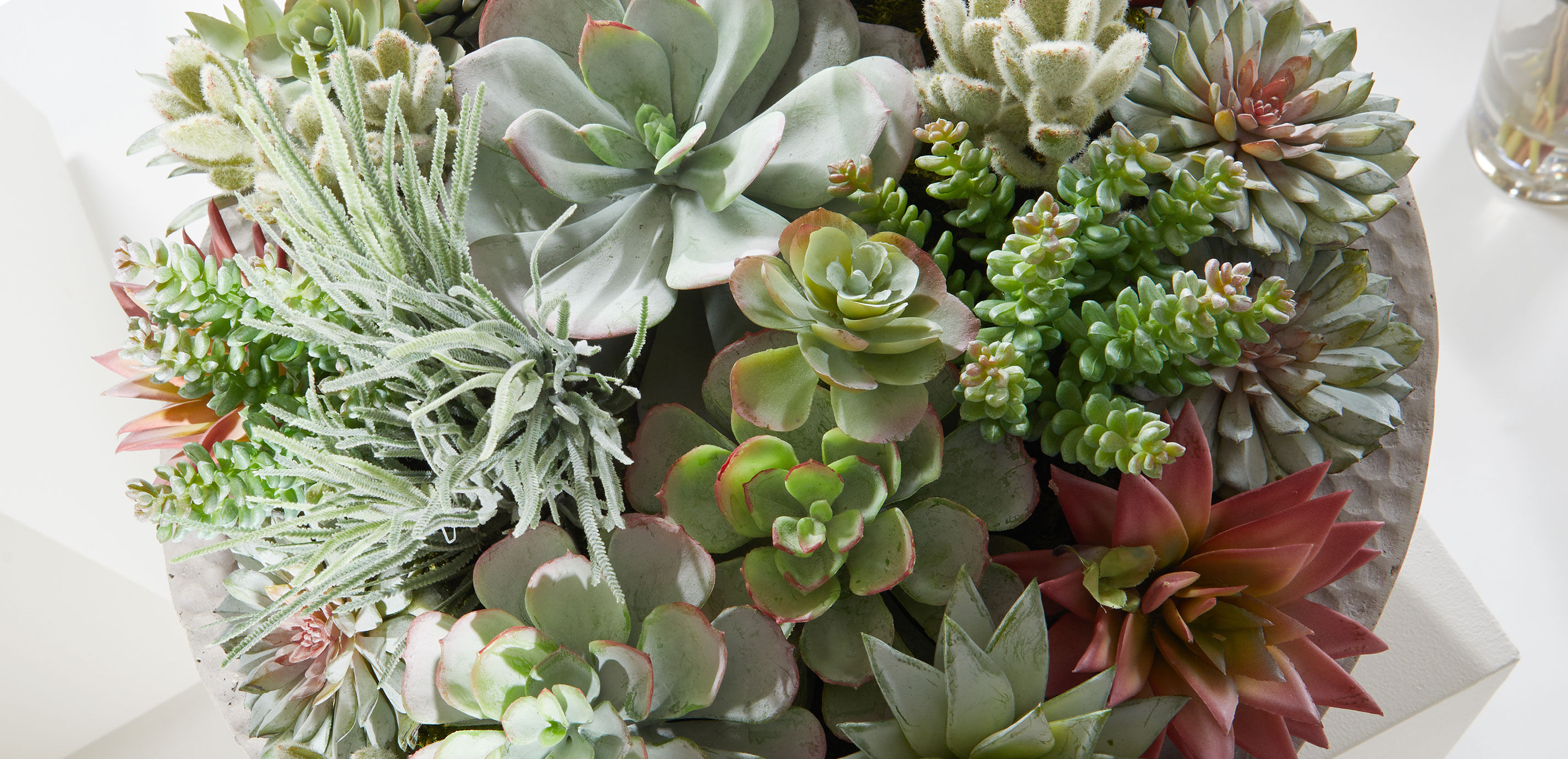 Mixed Succulents in Gray Bowl_7