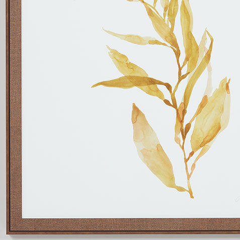 Soft Seaweed Product Tile Hover Image 073261B