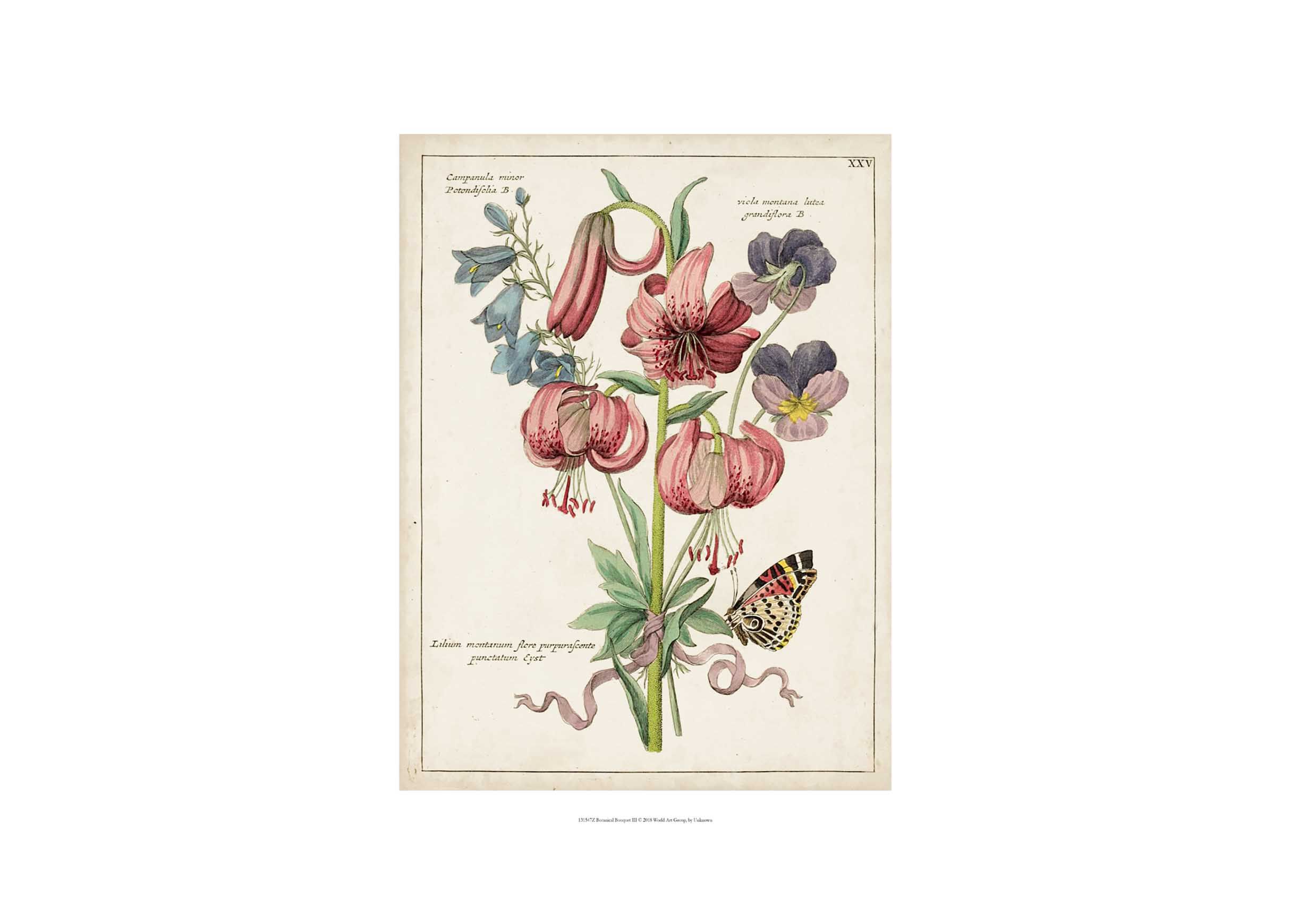 Botanical Bouquet III